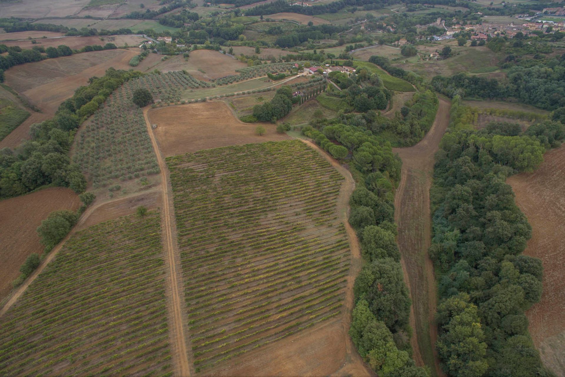 其他 在 Siena, Siena 10058294