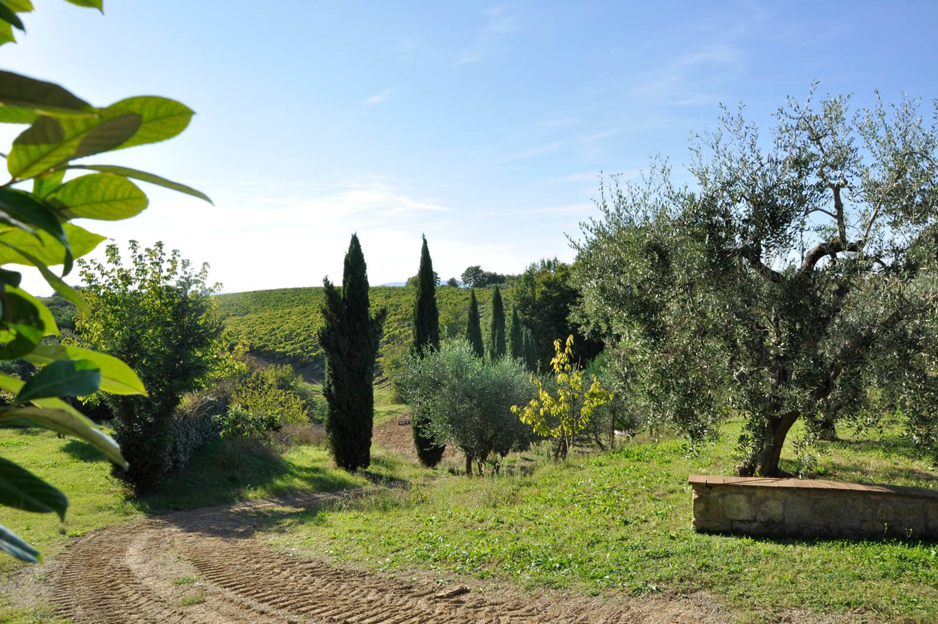 其他 在 Siena, Siena 10058294