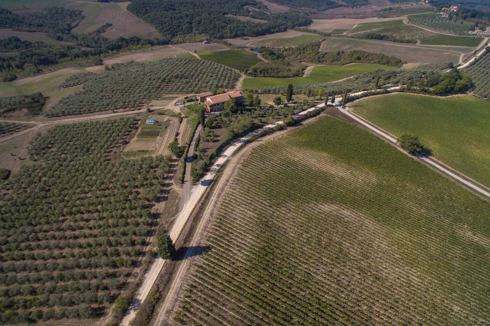 آخر في Castellina in Chianti, Siena 10058299