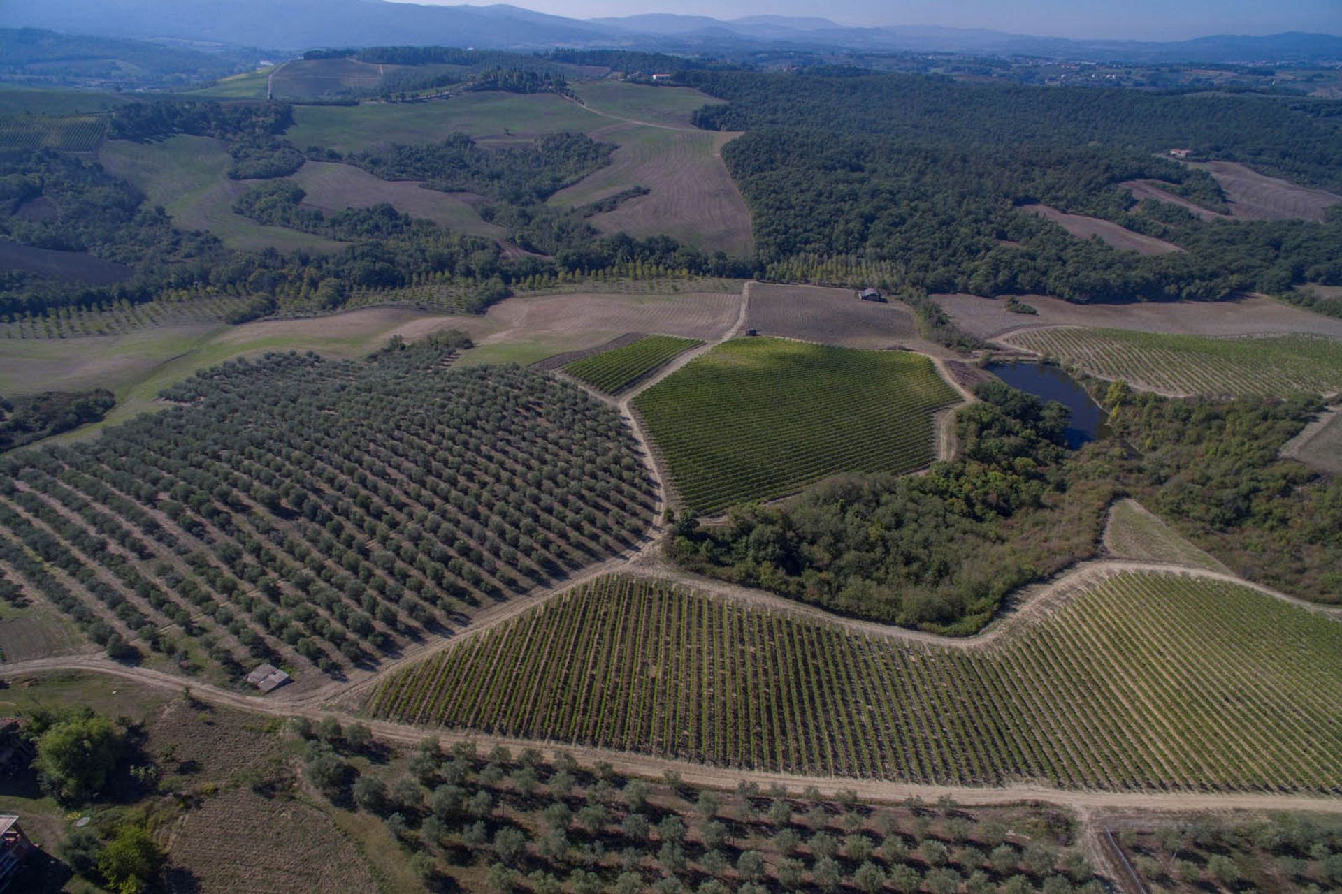 آخر في Castellina in Chianti, Siena 10058299