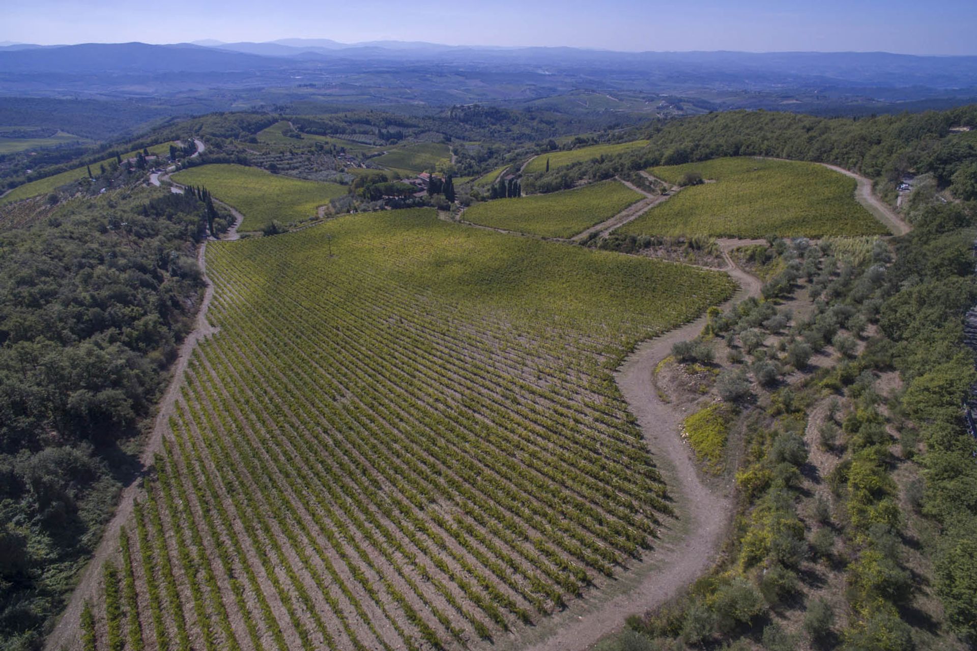 آخر في Castellina in Chianti, Siena 10058299