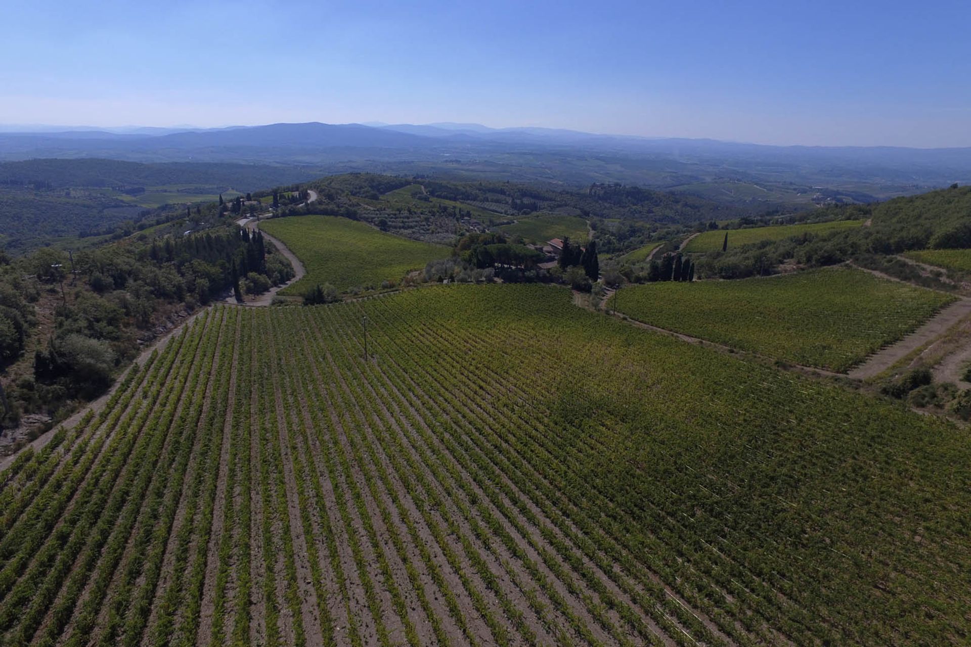 آخر في Castellina in Chianti, Siena 10058299