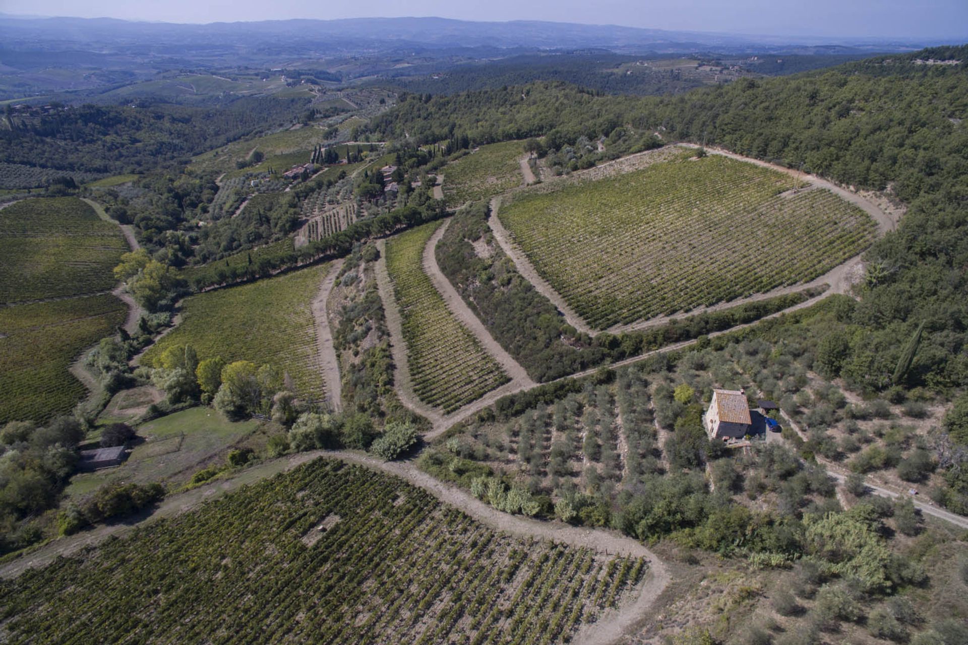 آخر في Castellina in Chianti, Siena 10058299