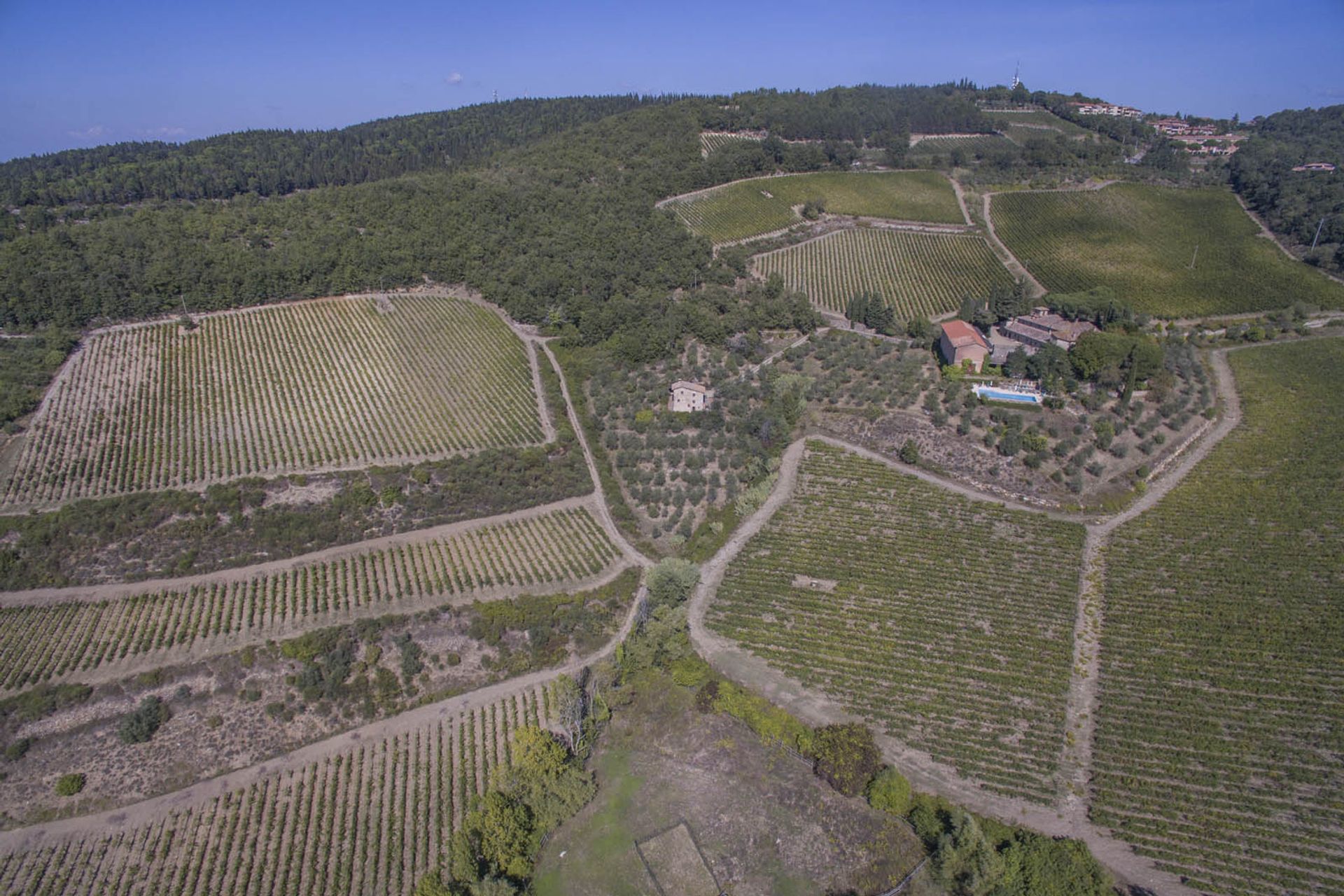 آخر في Castellina in Chianti, Siena 10058299