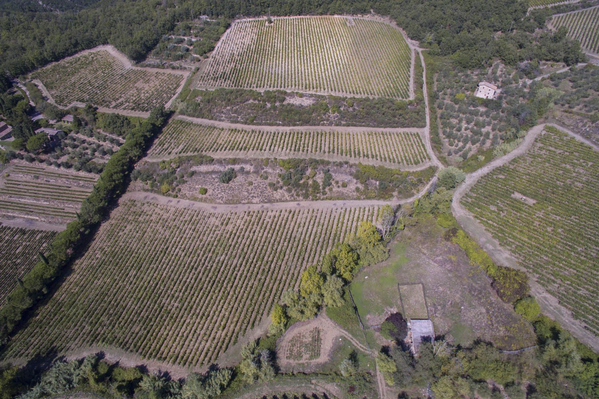 آخر في Castellina in Chianti, Siena 10058299