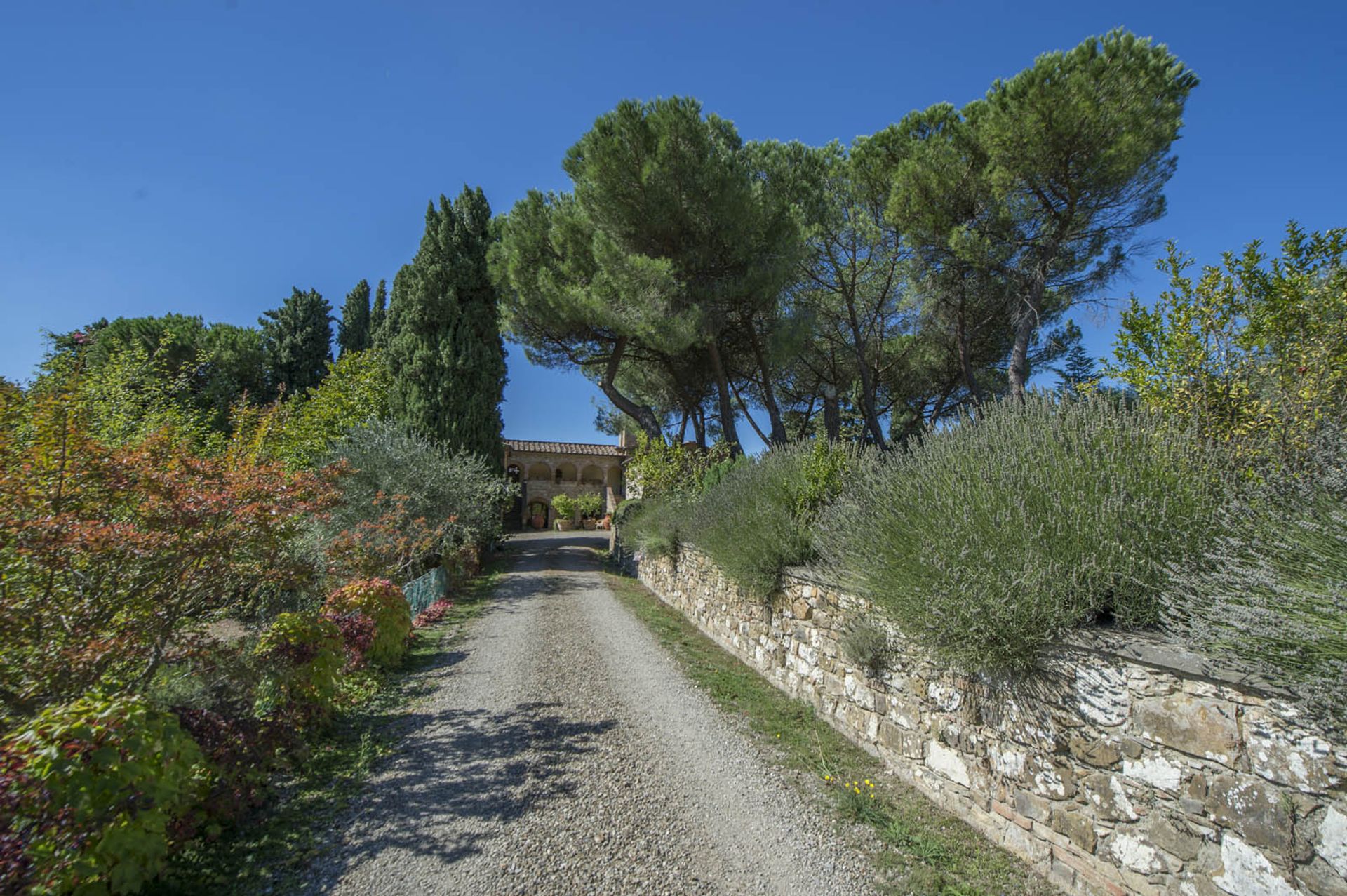 آخر في Castellina in Chianti, Siena 10058299