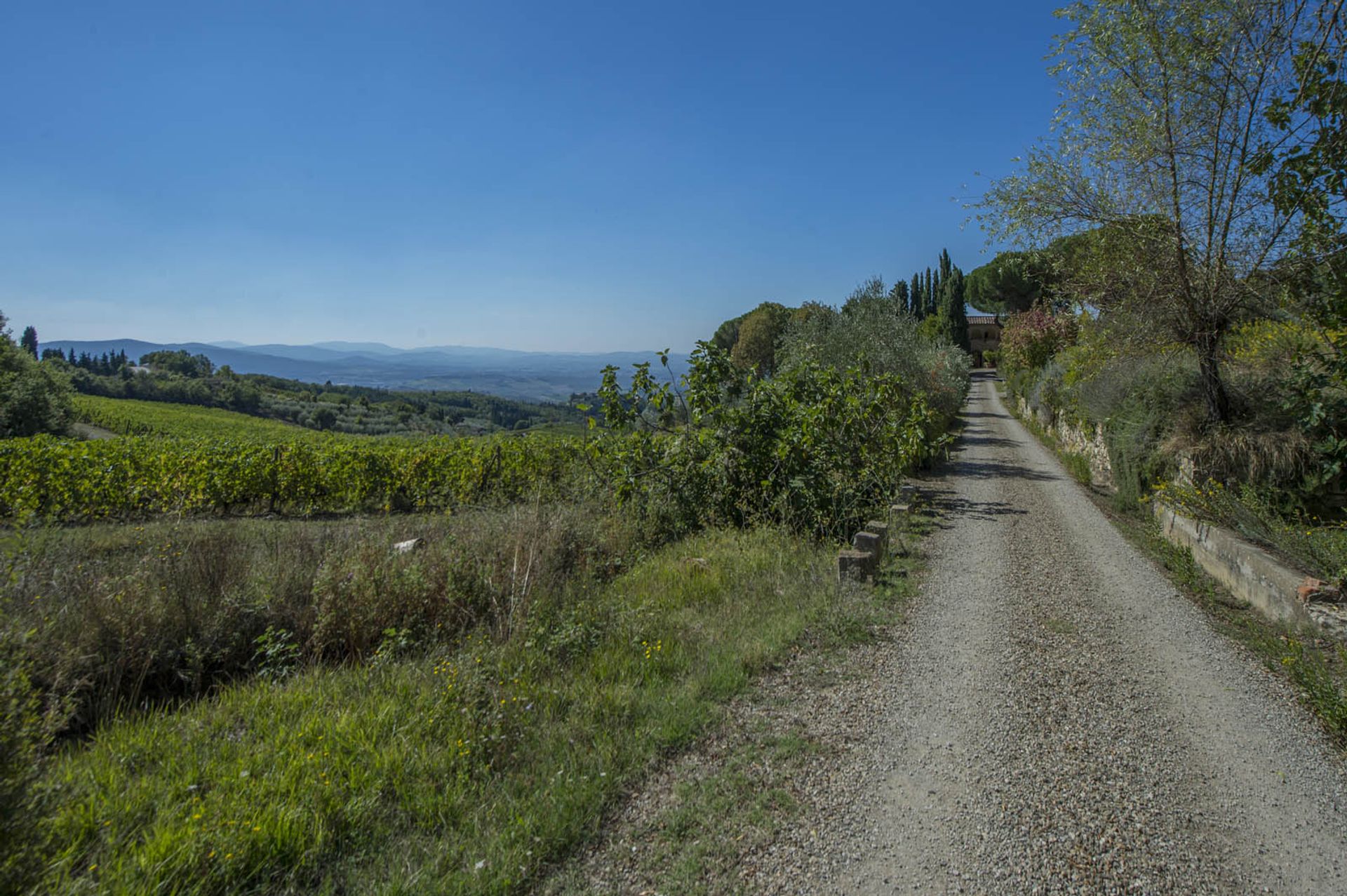 آخر في Castellina in Chianti, Siena 10058299