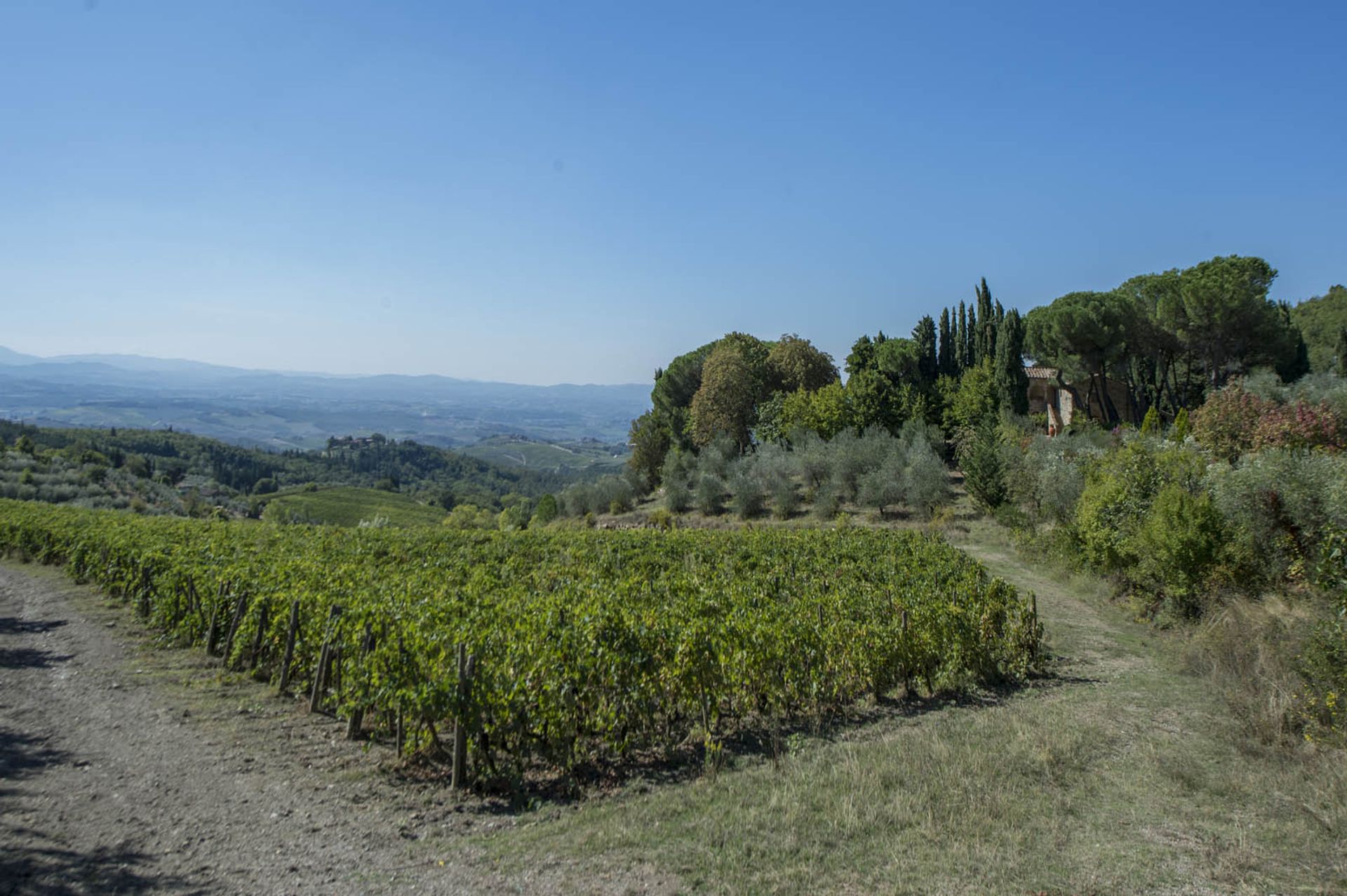 آخر في Castellina in Chianti, Siena 10058299