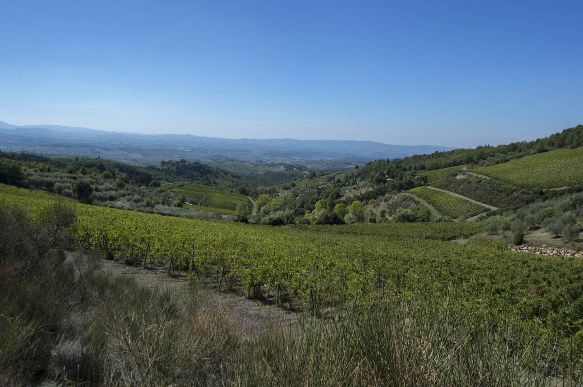 آخر في Castellina in Chianti, Siena 10058299