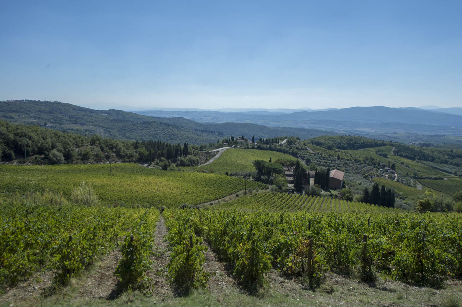 آخر في Castellina in Chianti, Siena 10058299