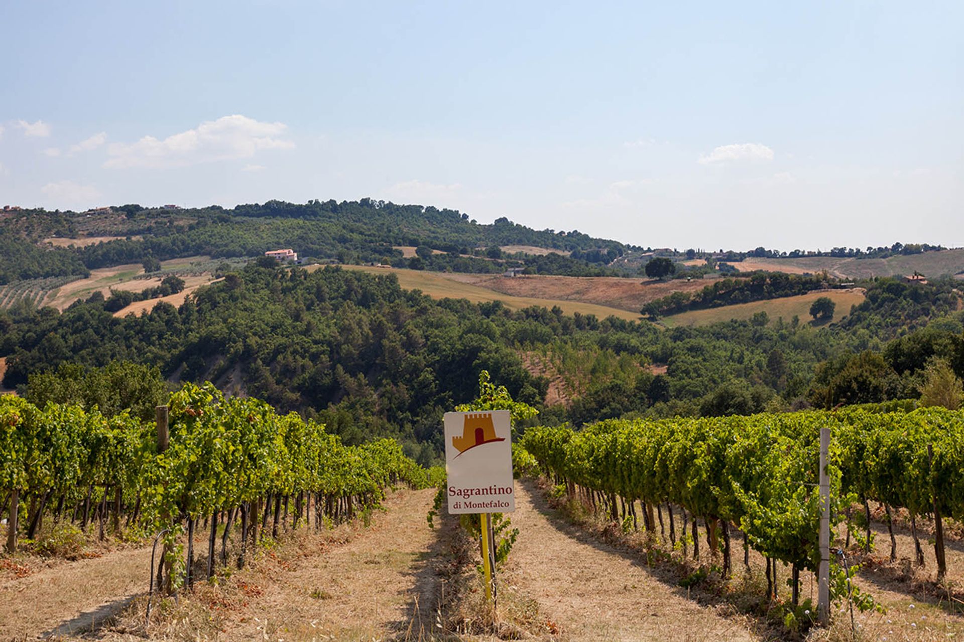 其他 在 Gualdo Cattaneo, Perugia 10058349