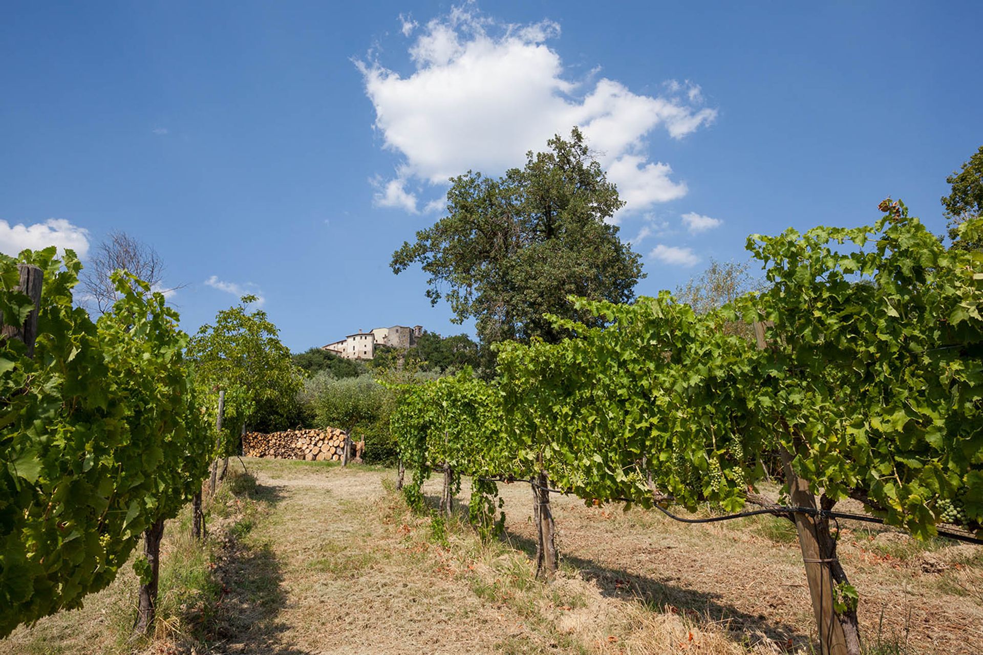 其他 在 Gualdo Cattaneo, Perugia 10058349