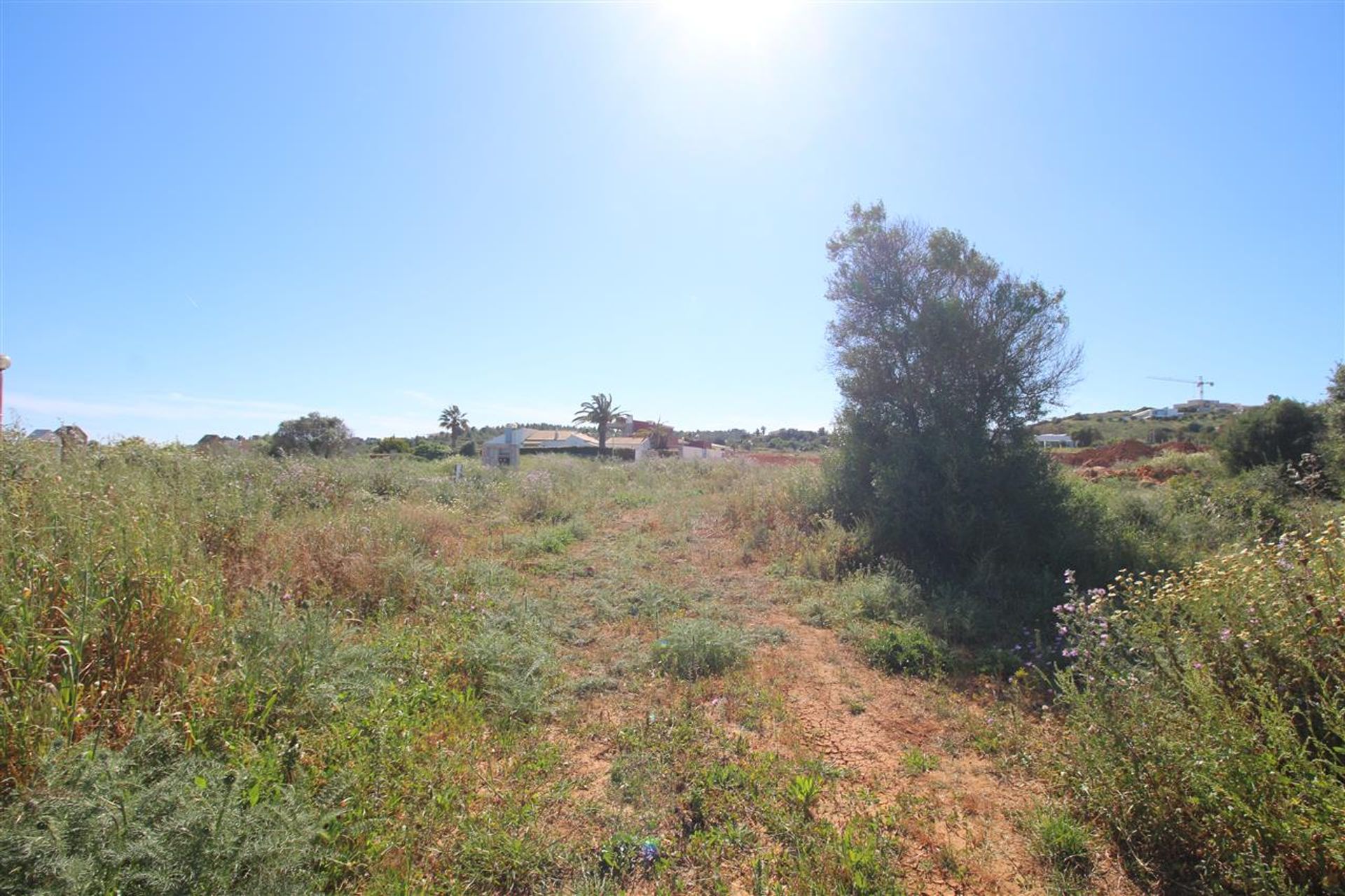 House in Torre, Faro 10058352