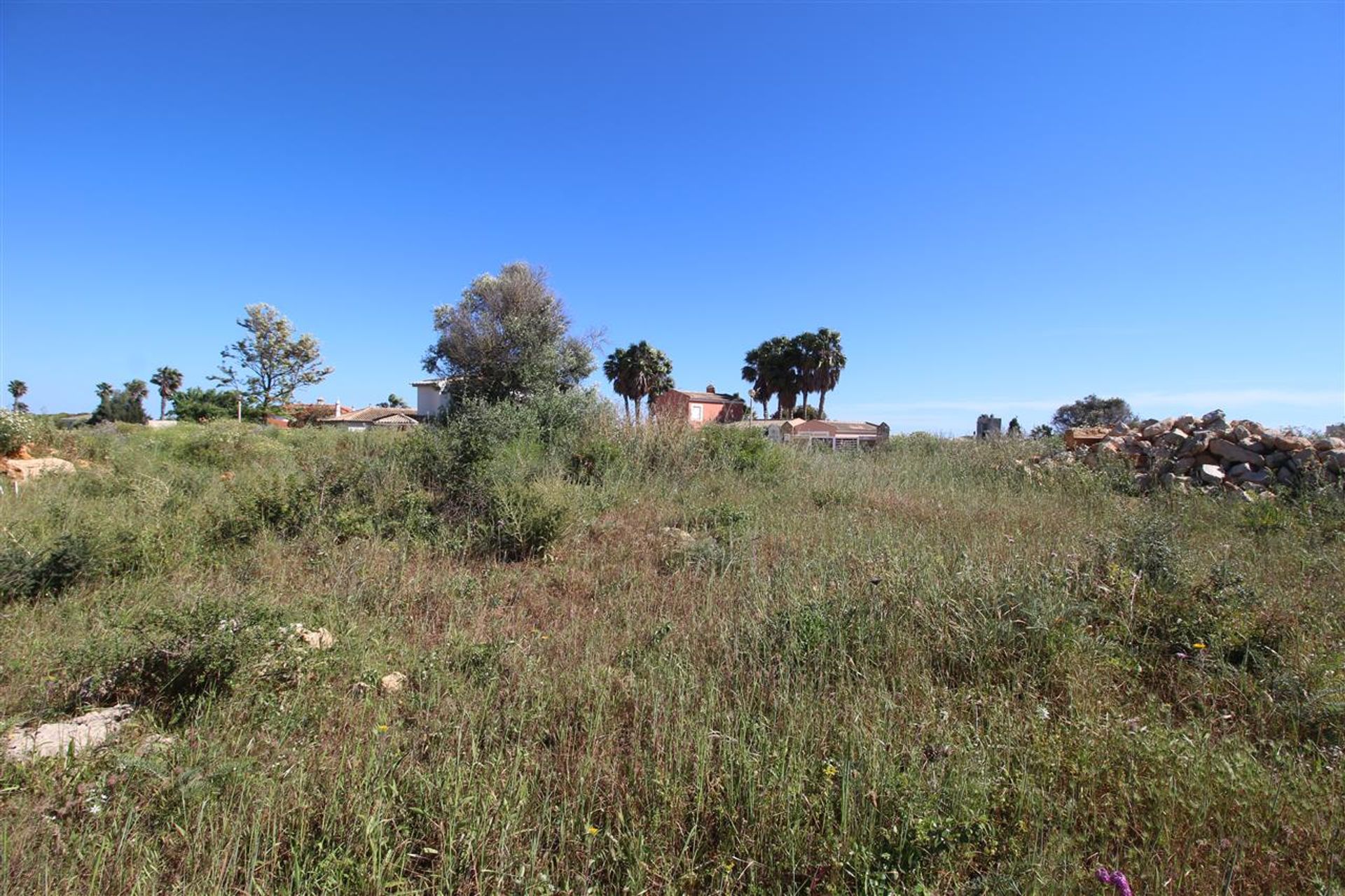 House in Torre, Faro 10058352