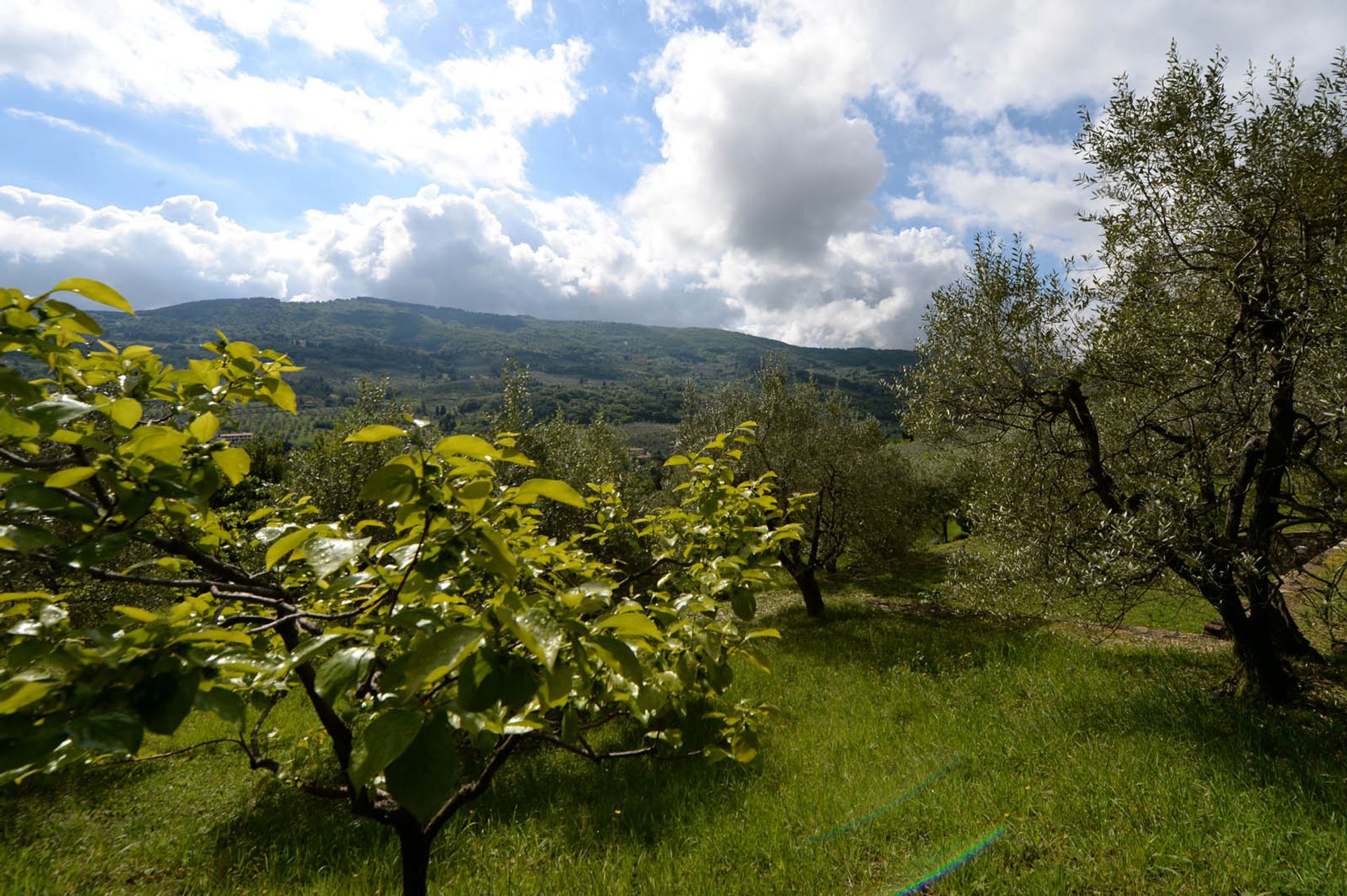 жилой дом в Fiesole, Florence City Centre 10058365