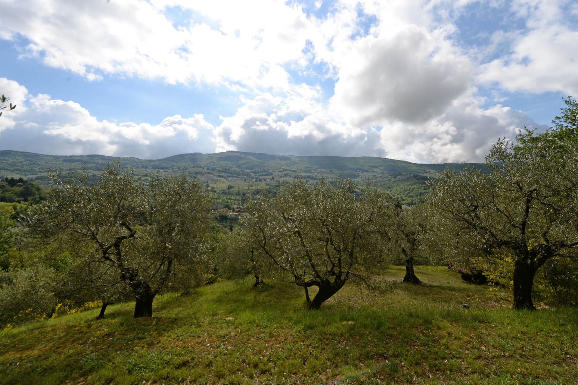 жилой дом в Fiesole, Florence City Centre 10058365