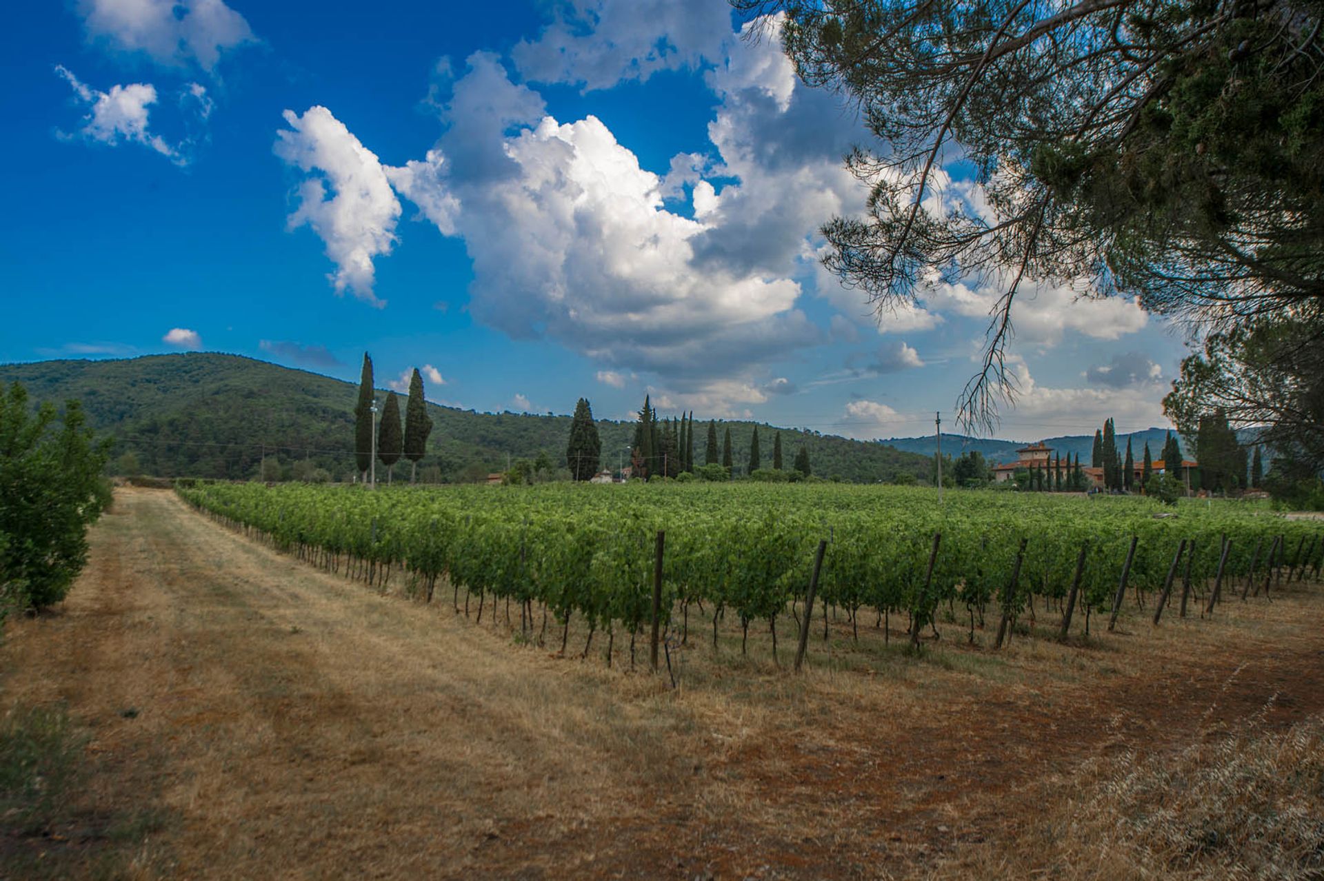 Otro en laterina, toscana 10058389