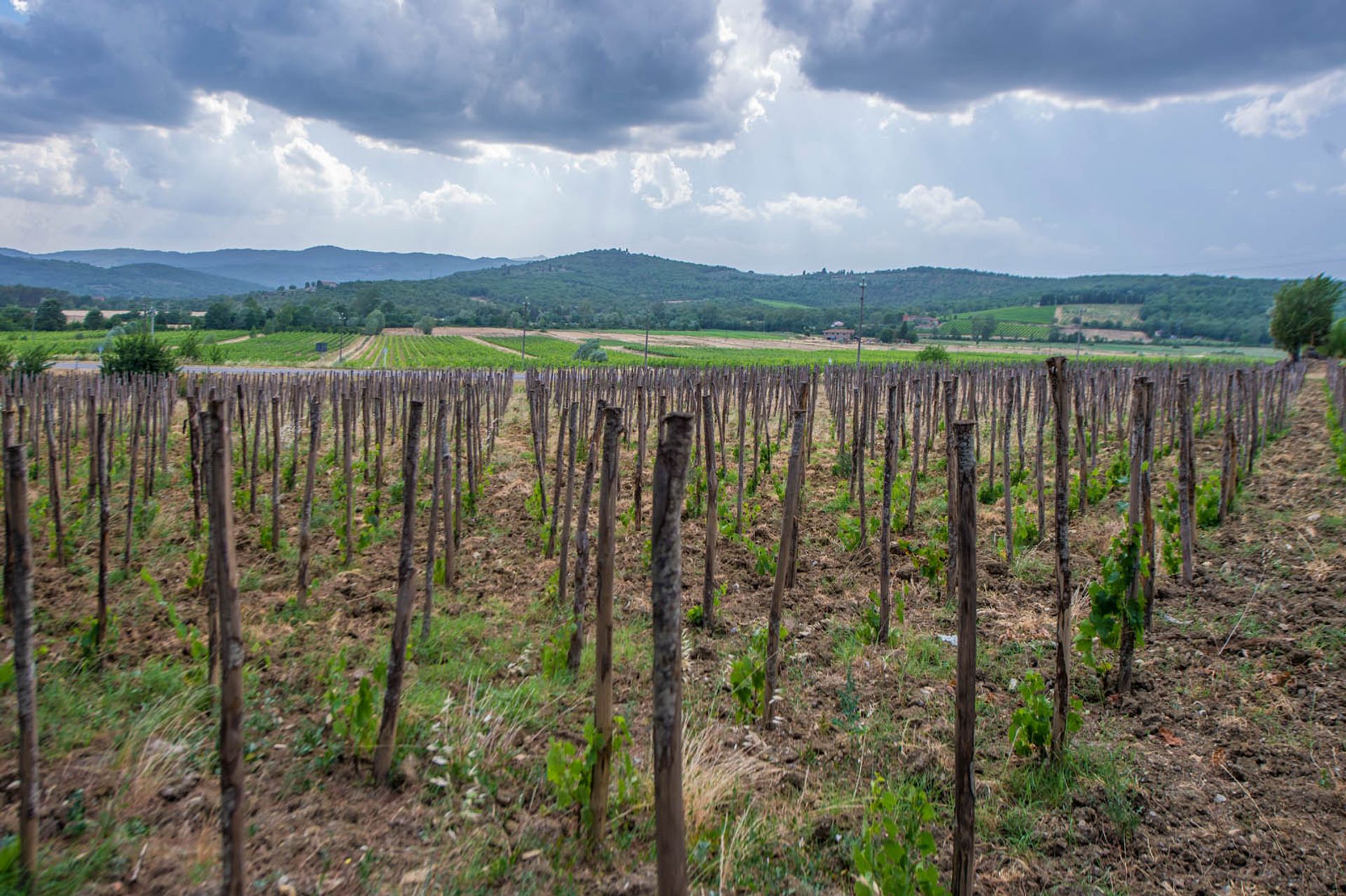 Andere in Laterina, Toscane 10058389