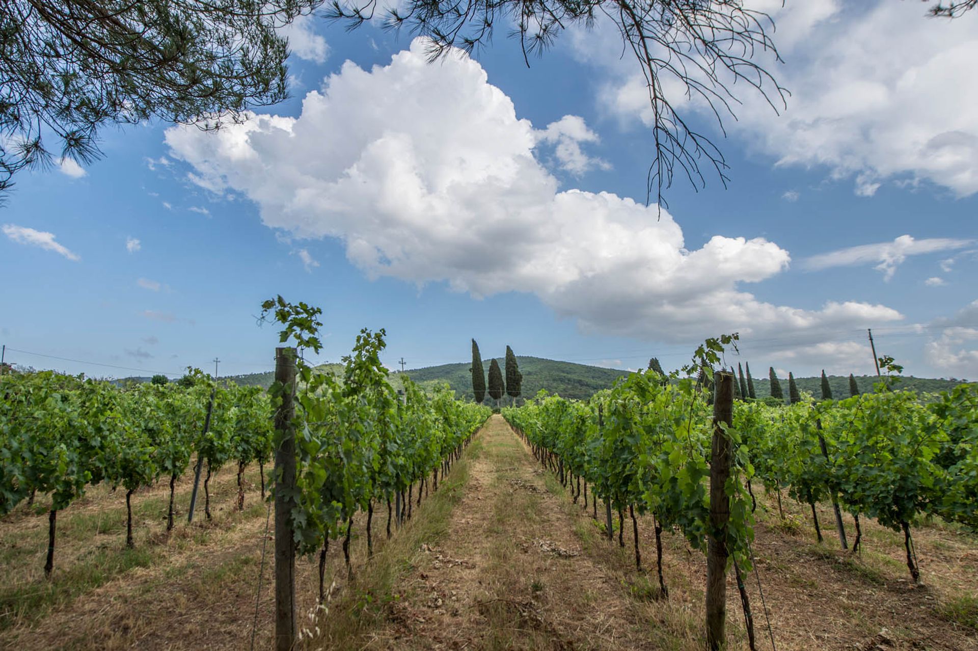 Andet i Laterina-Pergine, Arezzo 10058389