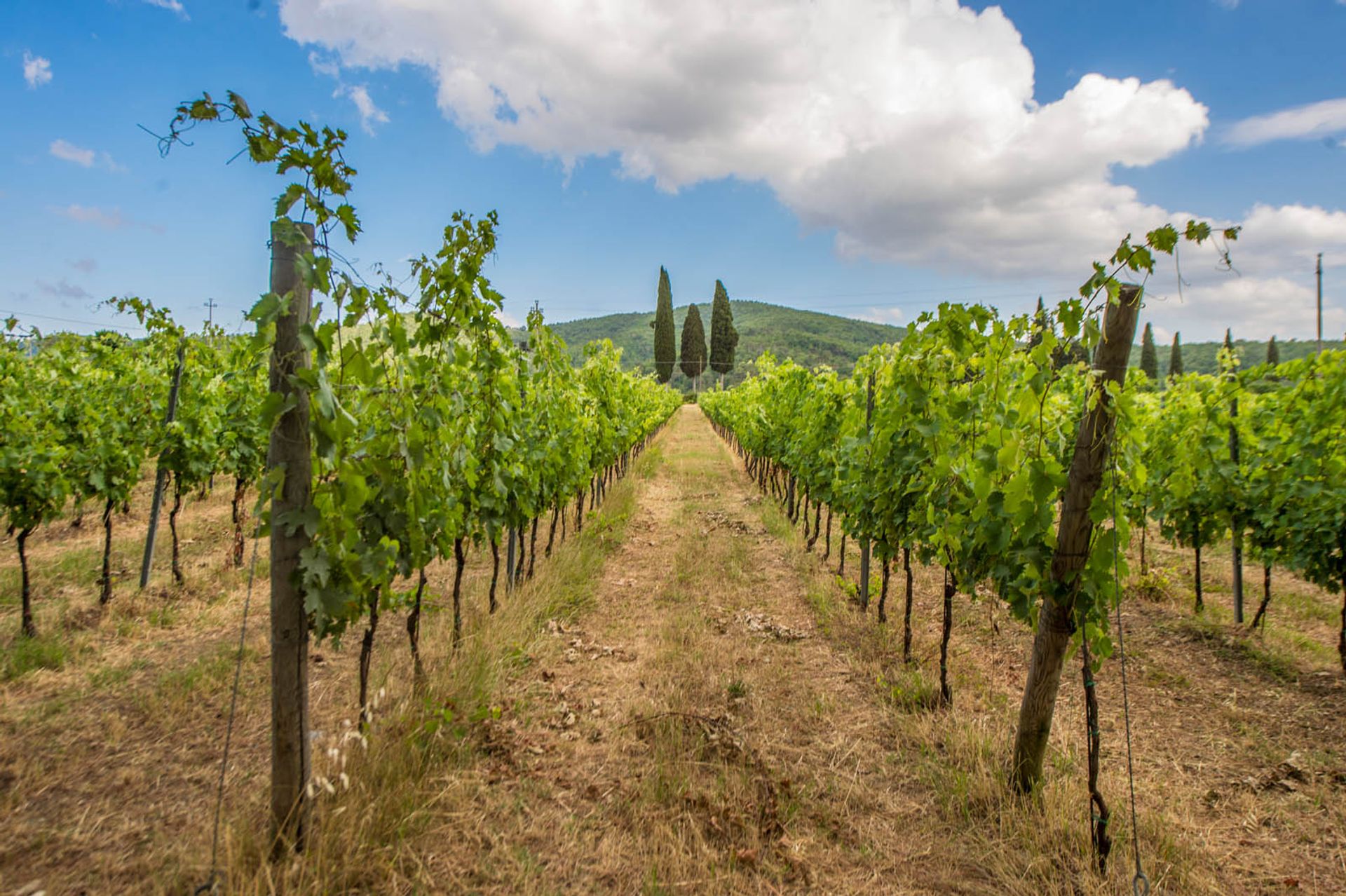 Andet i Laterina-Pergine, Arezzo 10058389