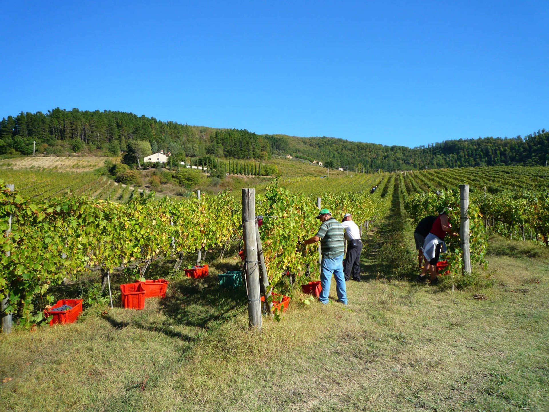 Autre dans Rufina, Florence Province 10058411