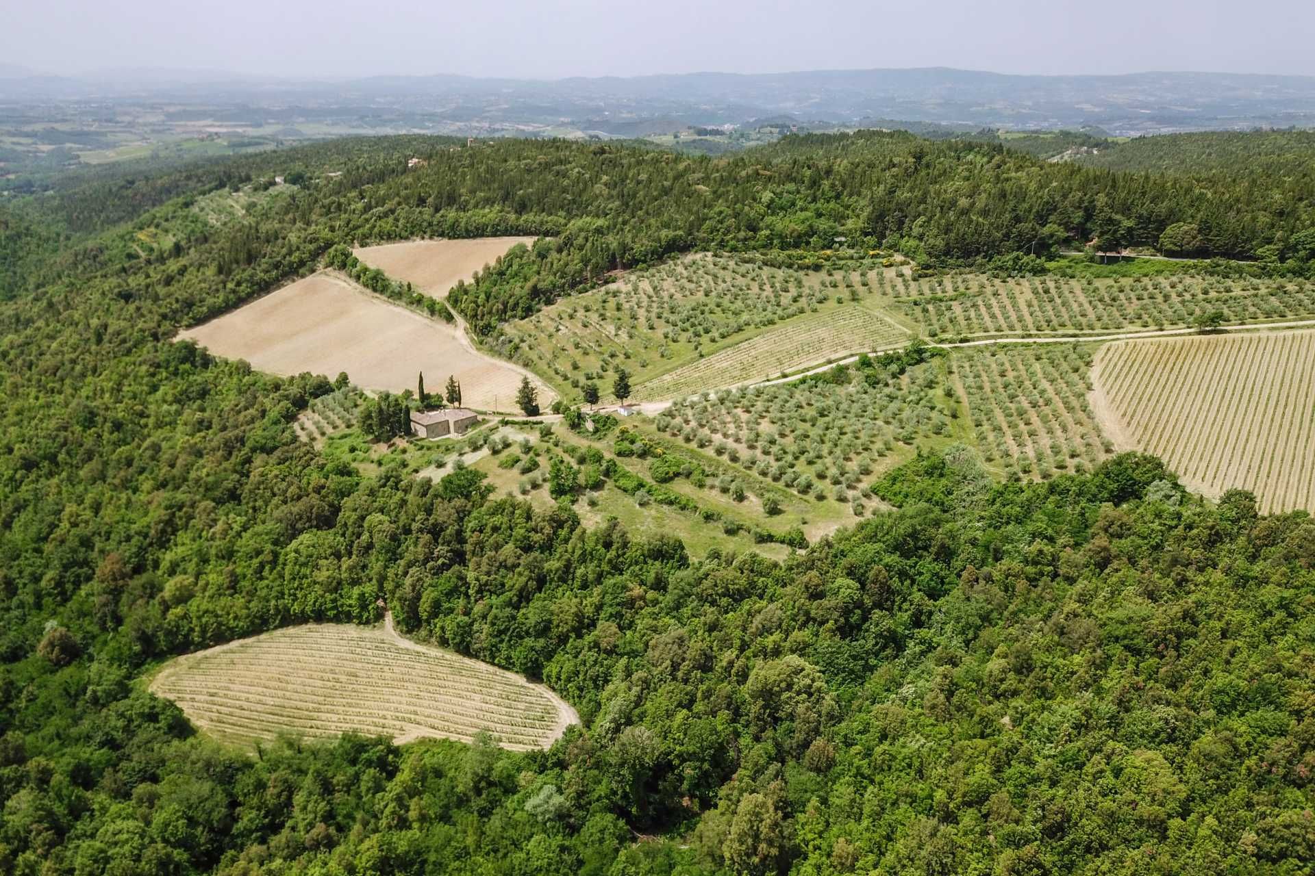 آخر في Castellina in Chianti, Siena 10058416