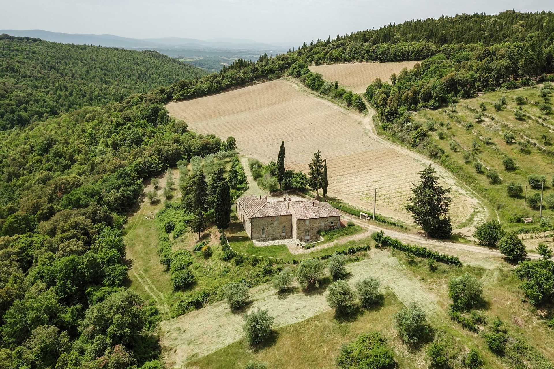 آخر في Castellina in Chianti, Siena 10058416