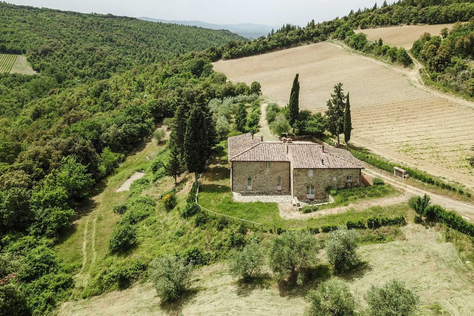 آخر في Castellina in Chianti, Siena 10058416