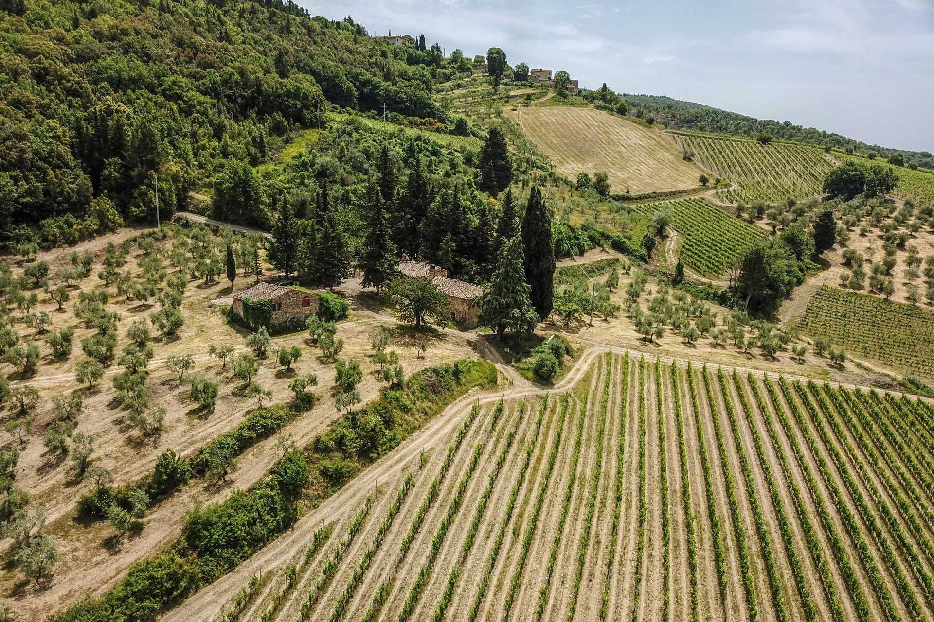 آخر في Castellina in Chianti, Siena 10058416