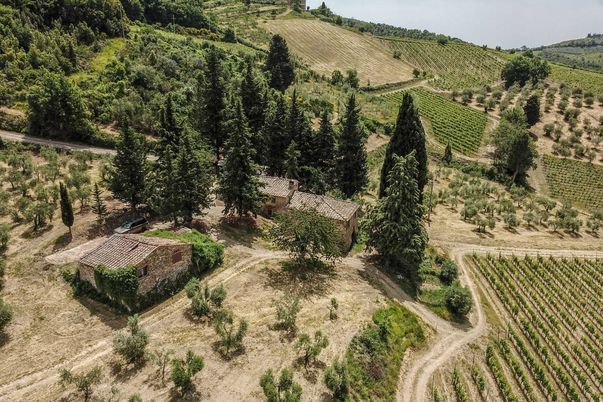 آخر في Castellina in Chianti, Siena 10058416