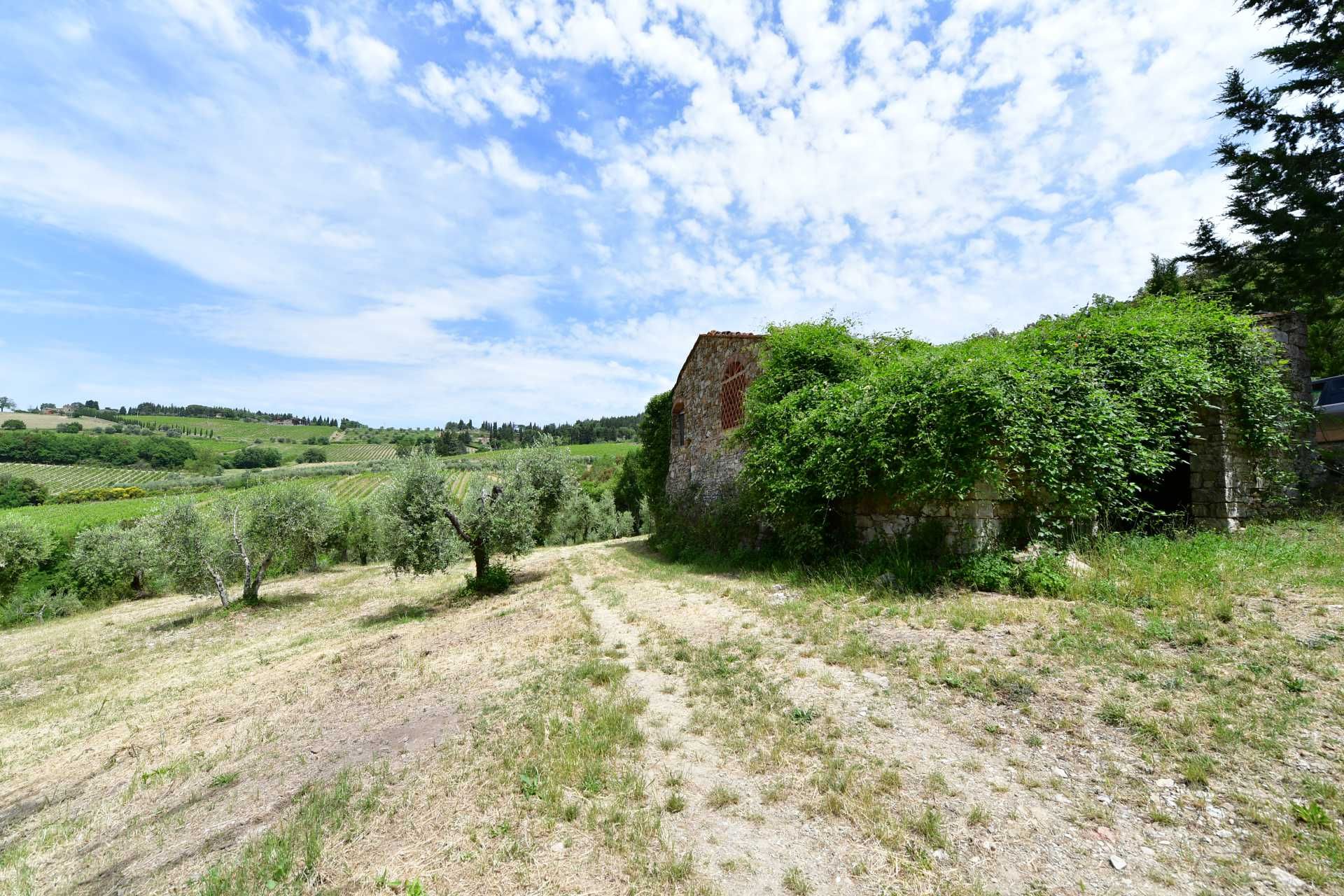 آخر في Castellina in Chianti, Siena 10058416