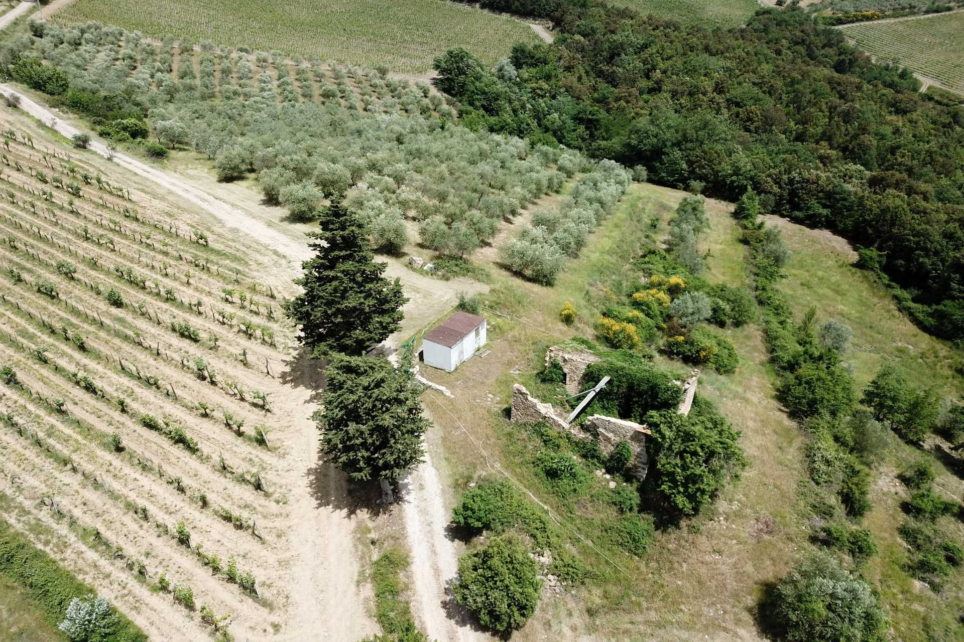 آخر في Castellina in Chianti, Siena 10058416