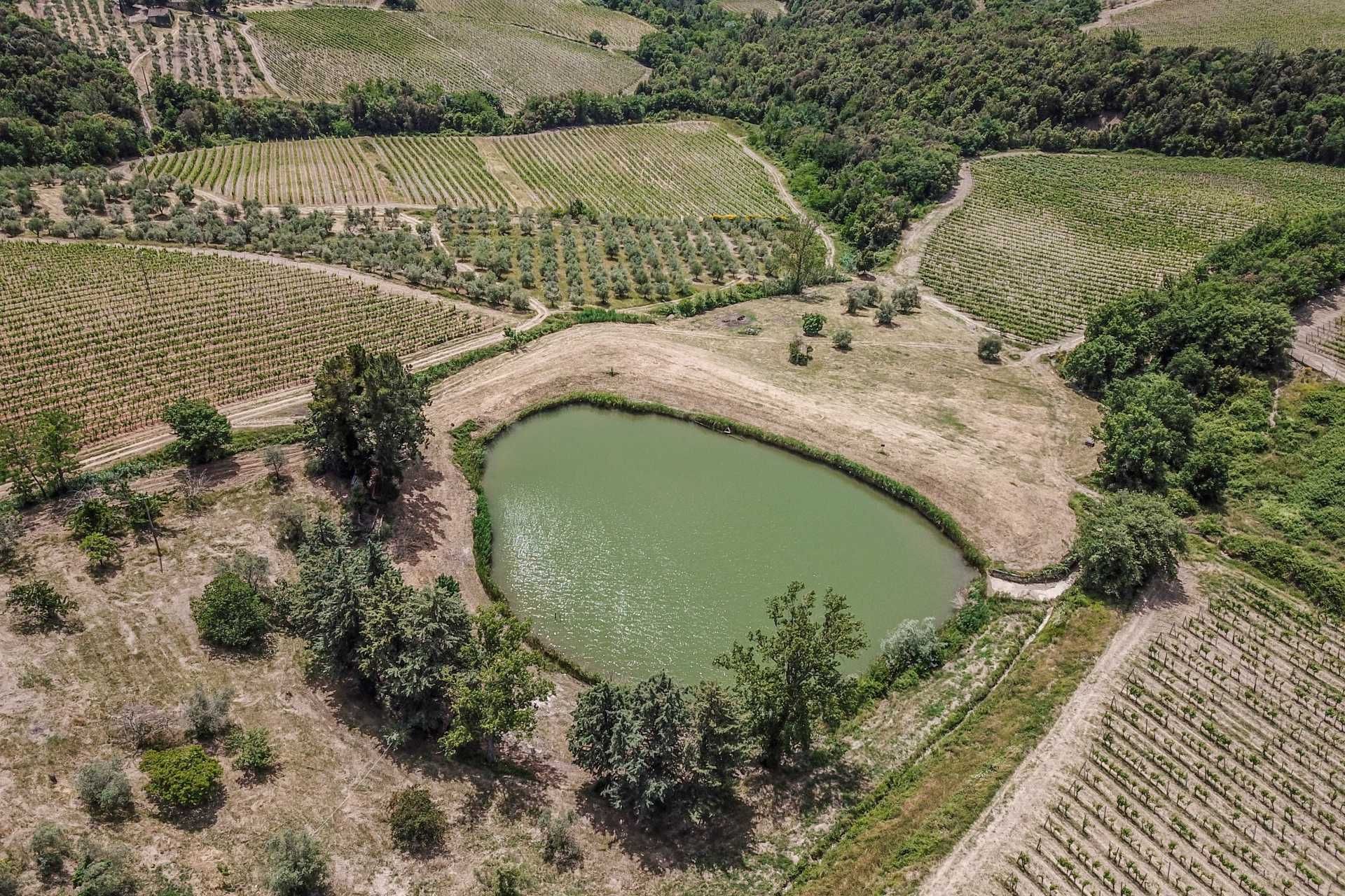 آخر في Castellina in Chianti, Siena 10058416