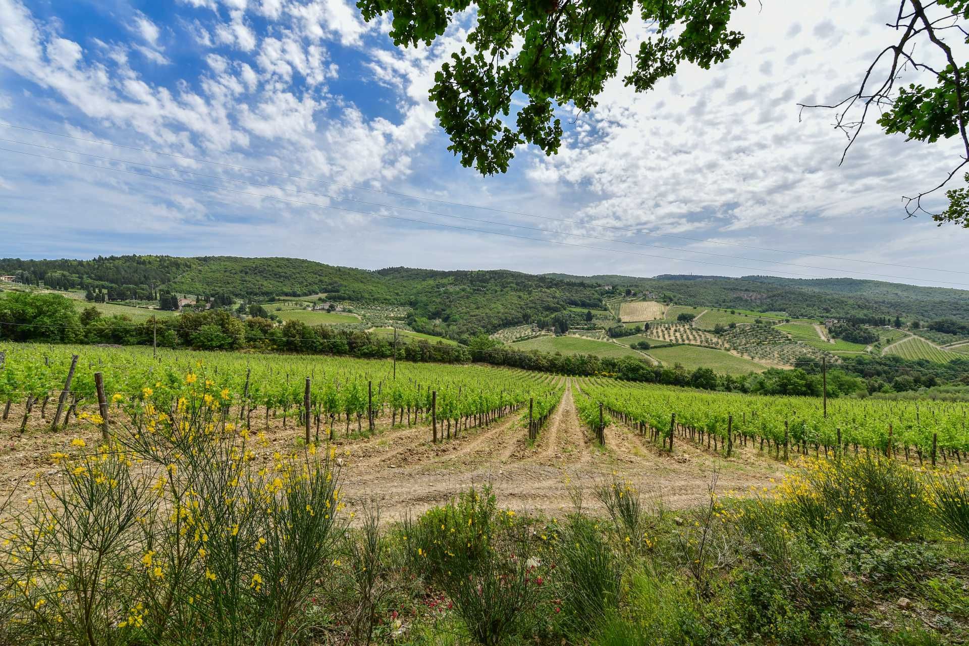 آخر في Castellina in Chianti, Siena 10058416