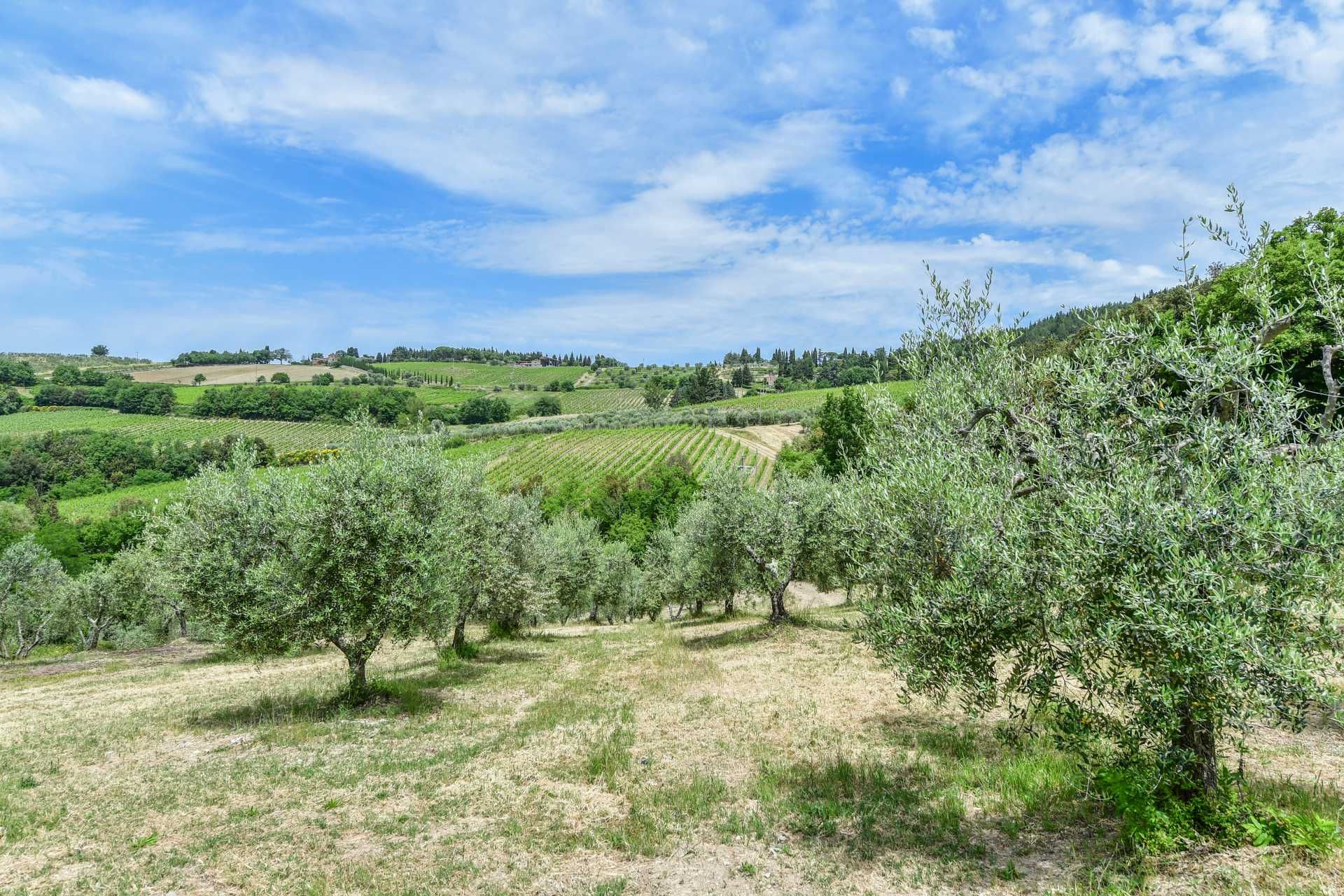 آخر في Castellina in Chianti, Siena 10058416