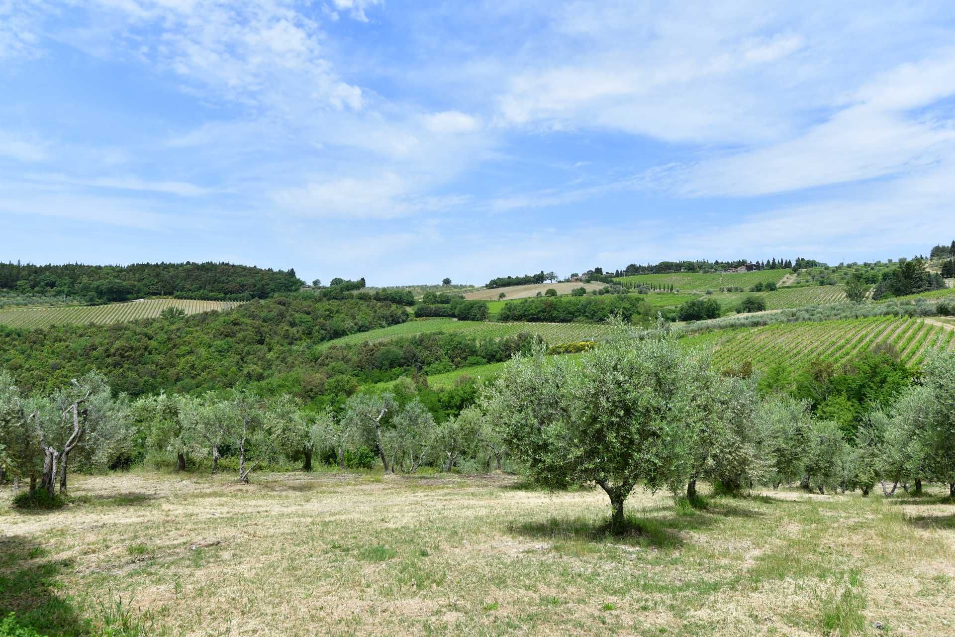 آخر في Castellina in Chianti, Siena 10058416