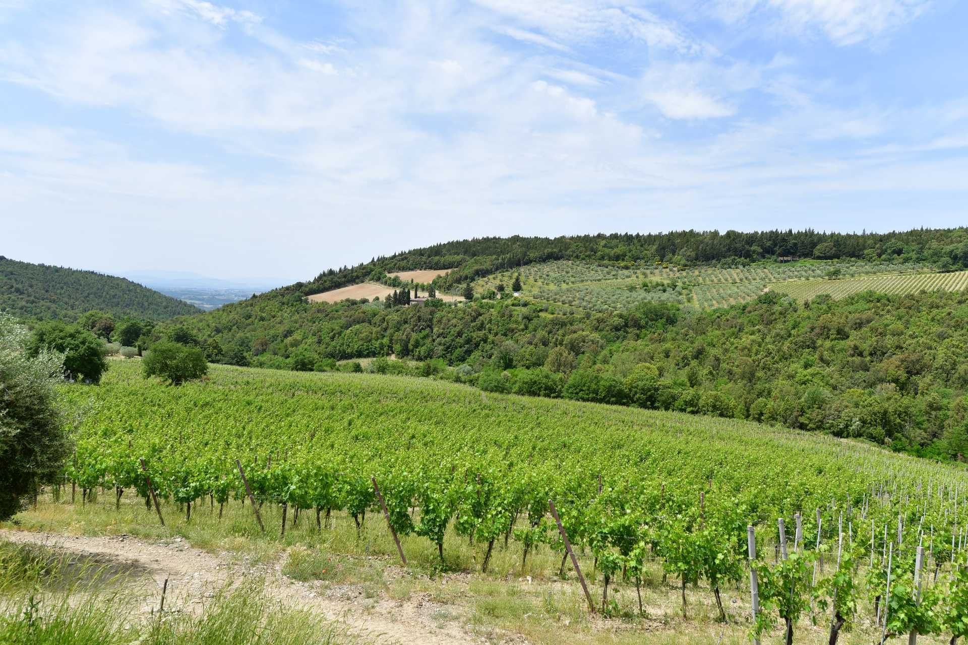 آخر في Castellina in Chianti, Siena 10058416