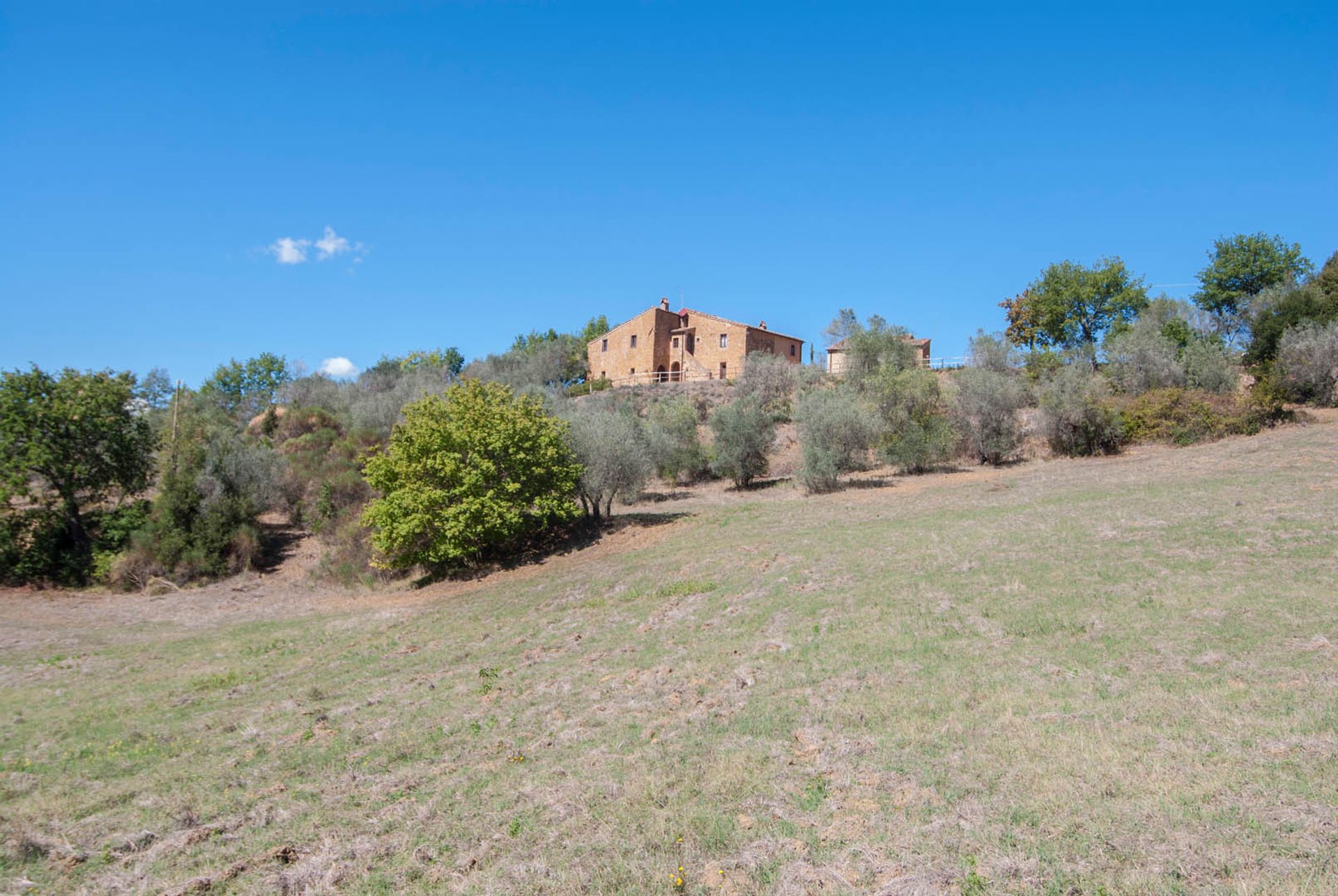 Haus im Trequanda, Siena 10058428