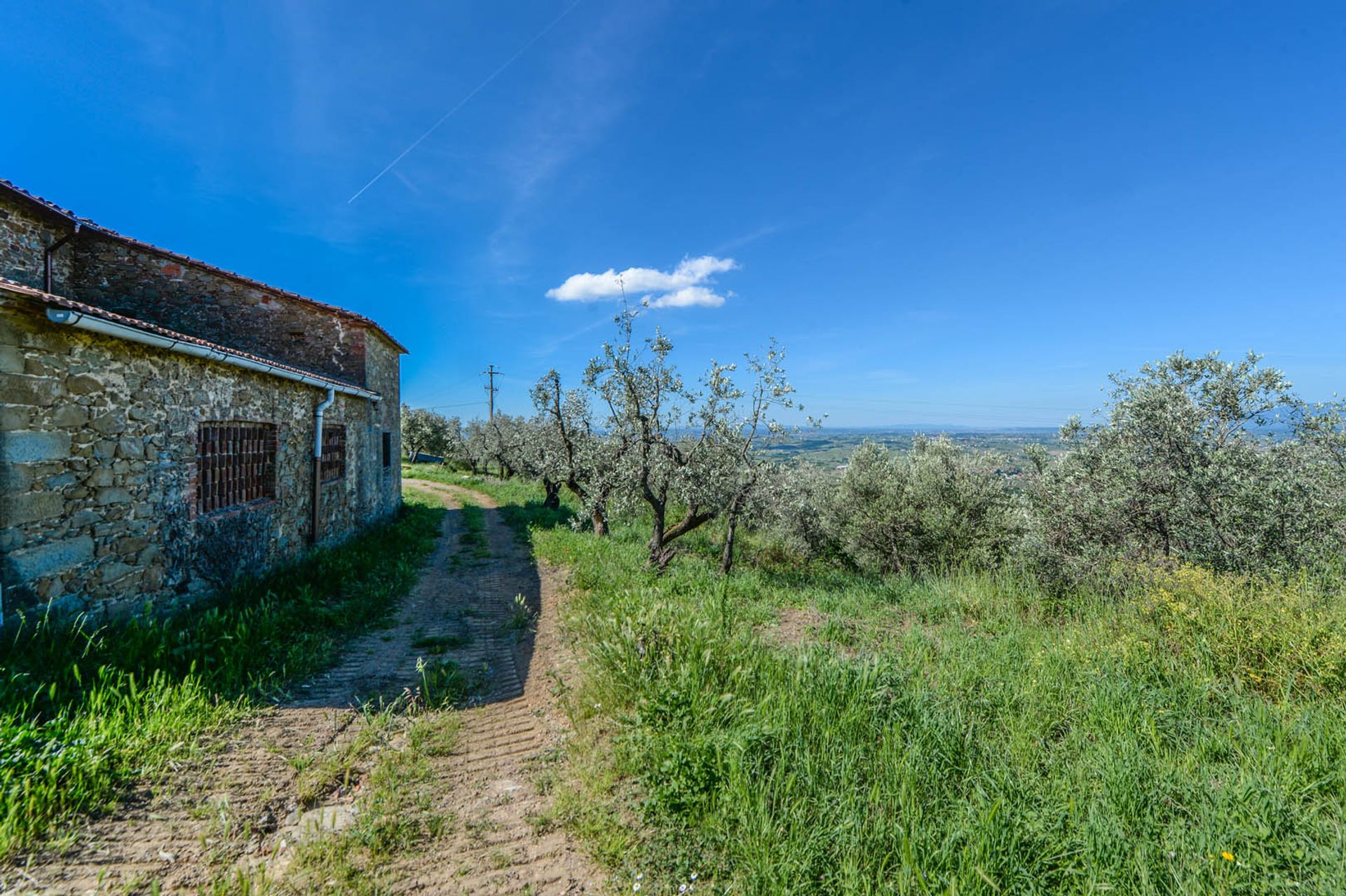 Другой в Florence, Florence Province 10058468