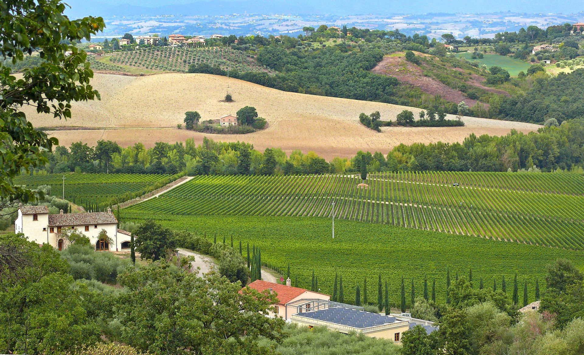 Andere im Siena, Siena 10058479