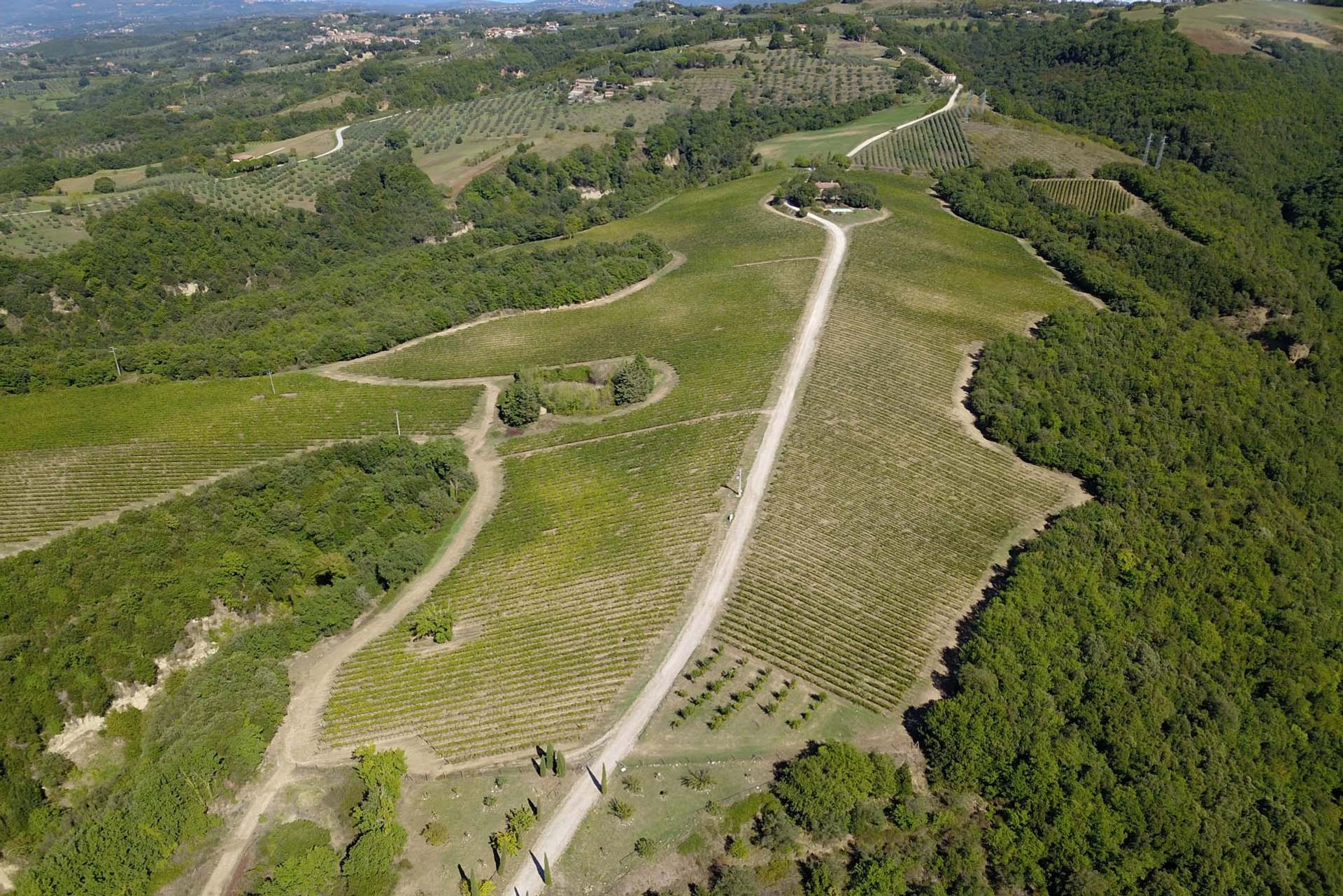 Outro no Orvieto, Terni 10058489