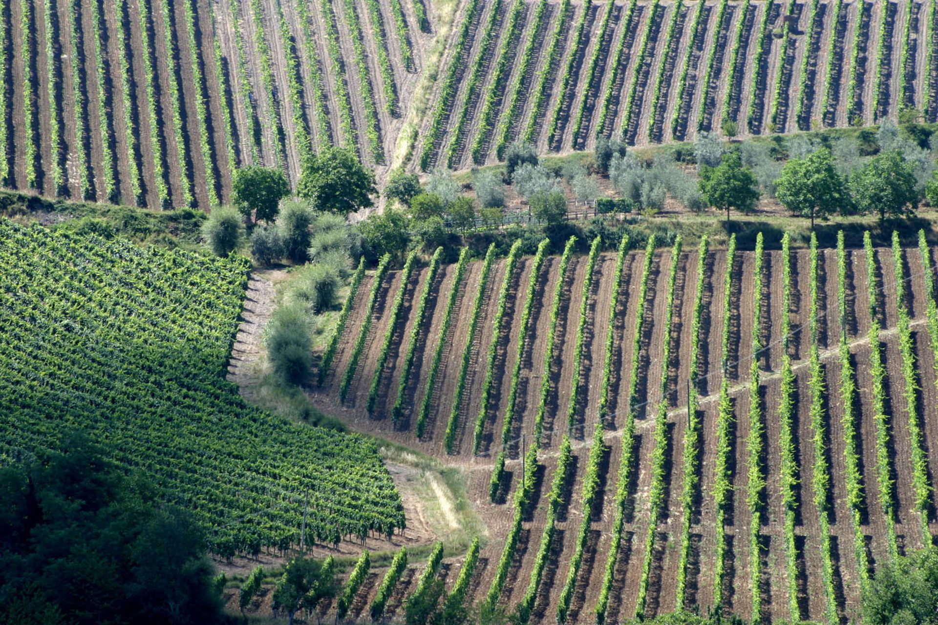 Annen i Gaiole in Chianti, Siena 10058517