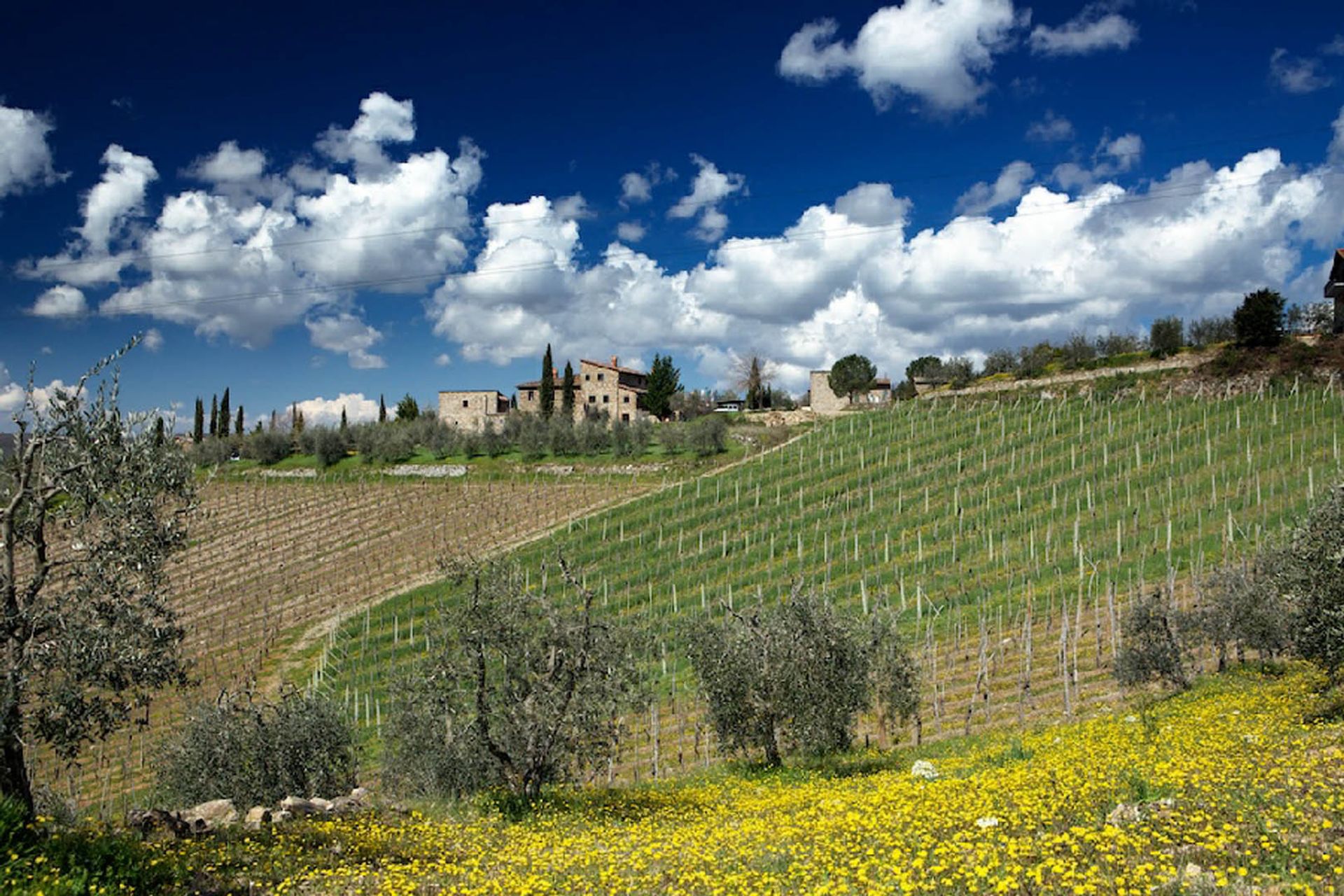 Otro en Gaiole in Chianti, Siena 10058517