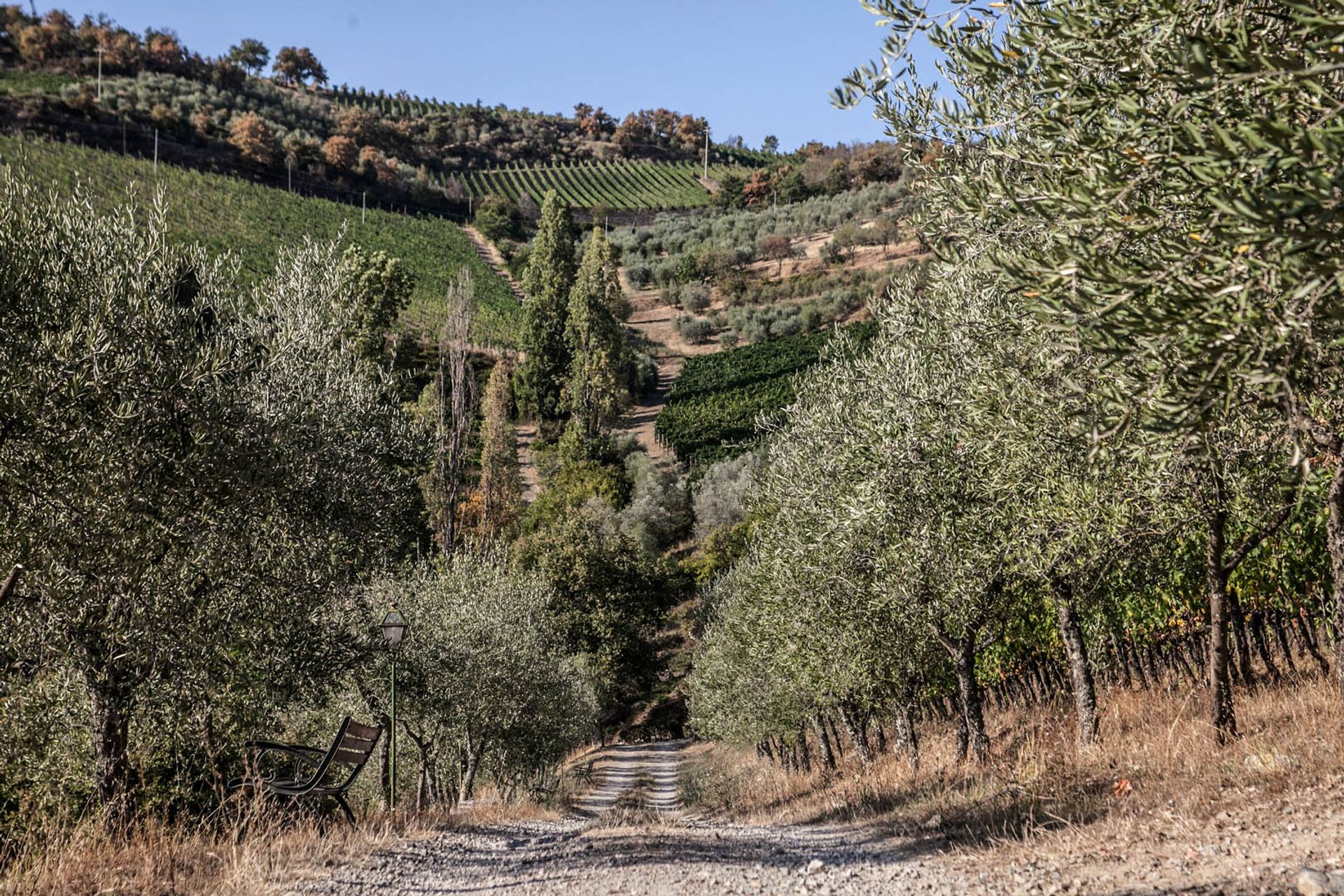 다른 에 Gaiole in Chianti, Siena 10058517