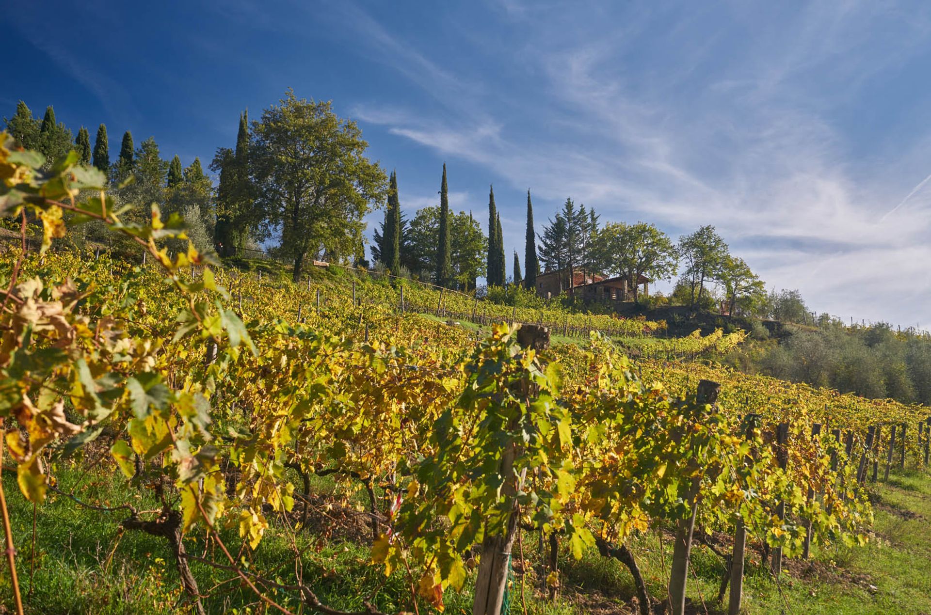 Annen i Gaiole in Chianti, Siena 10058517