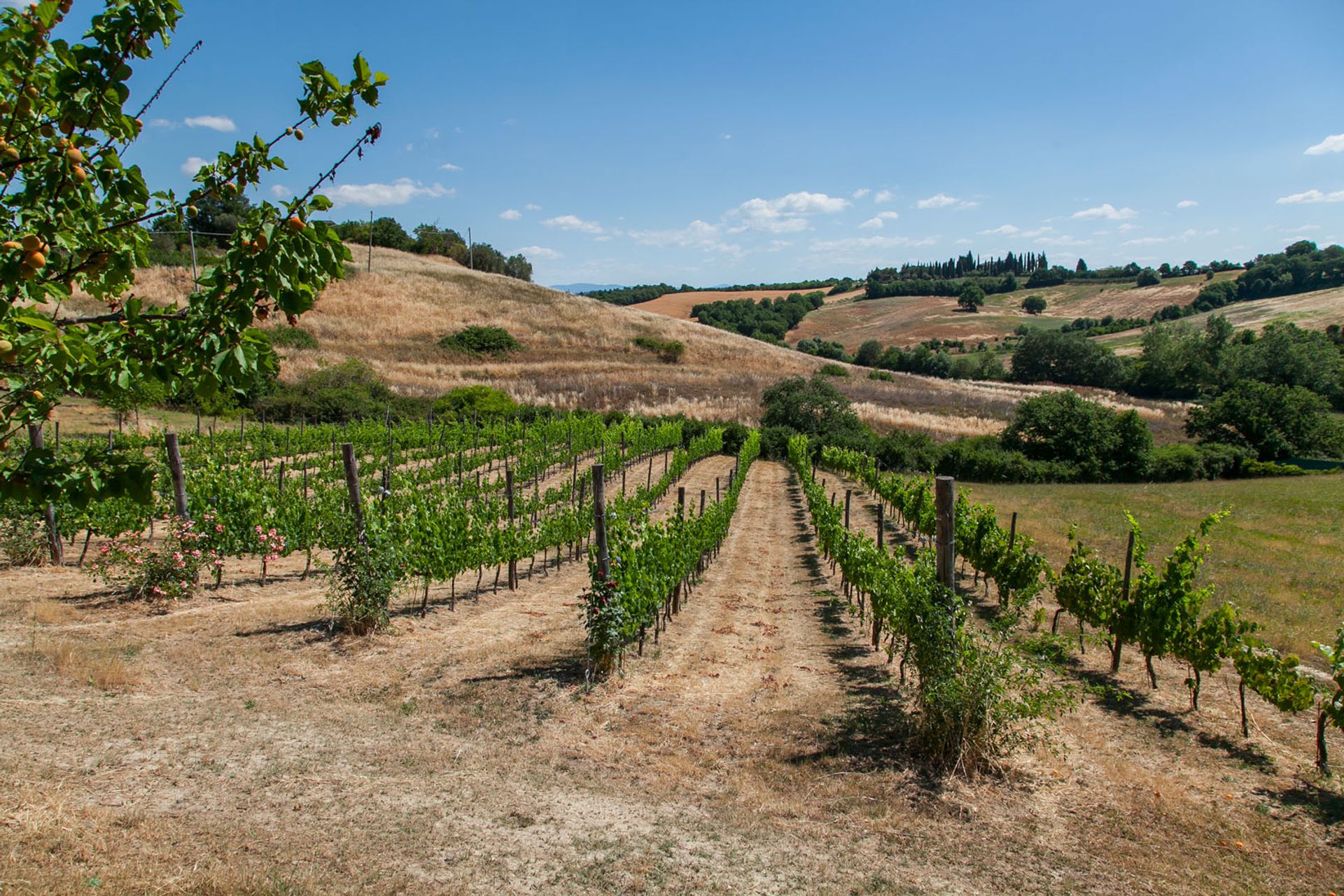 Talo sisään Chiusi, Siena 10058538