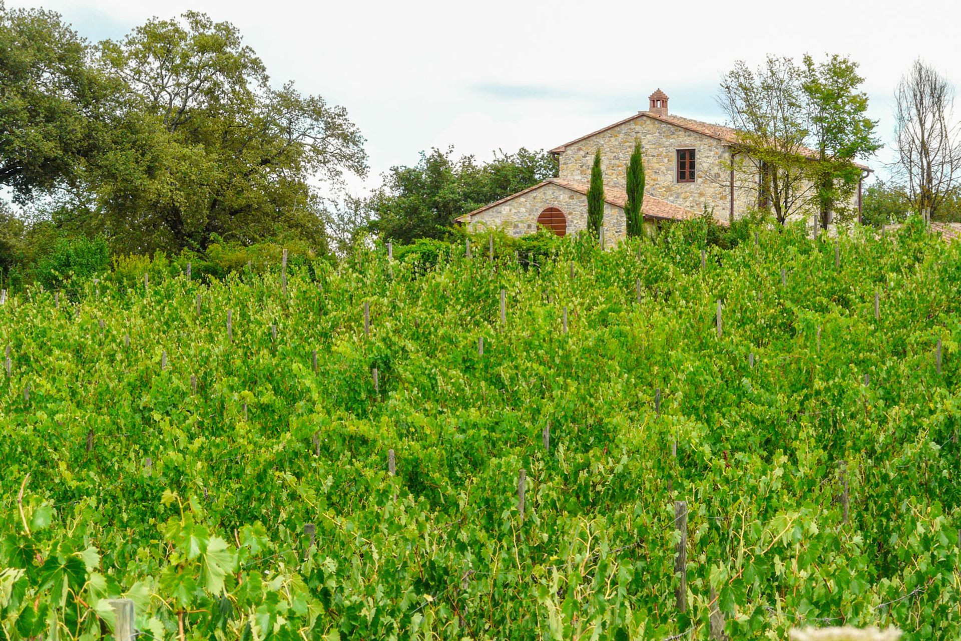 жилой дом в Arezzo, Arezzo 10058571