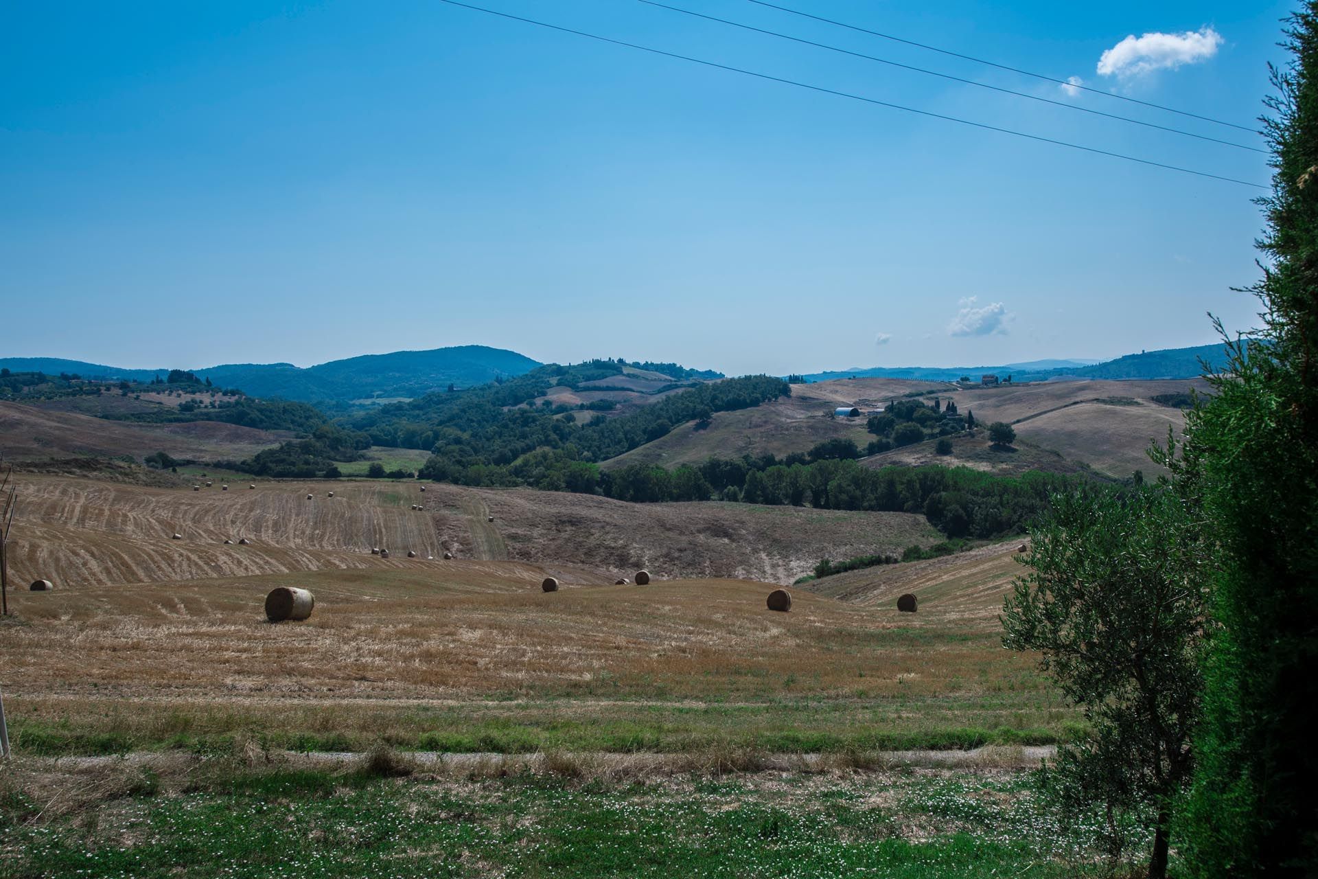 Hus i Montalcino, Siena 10058605