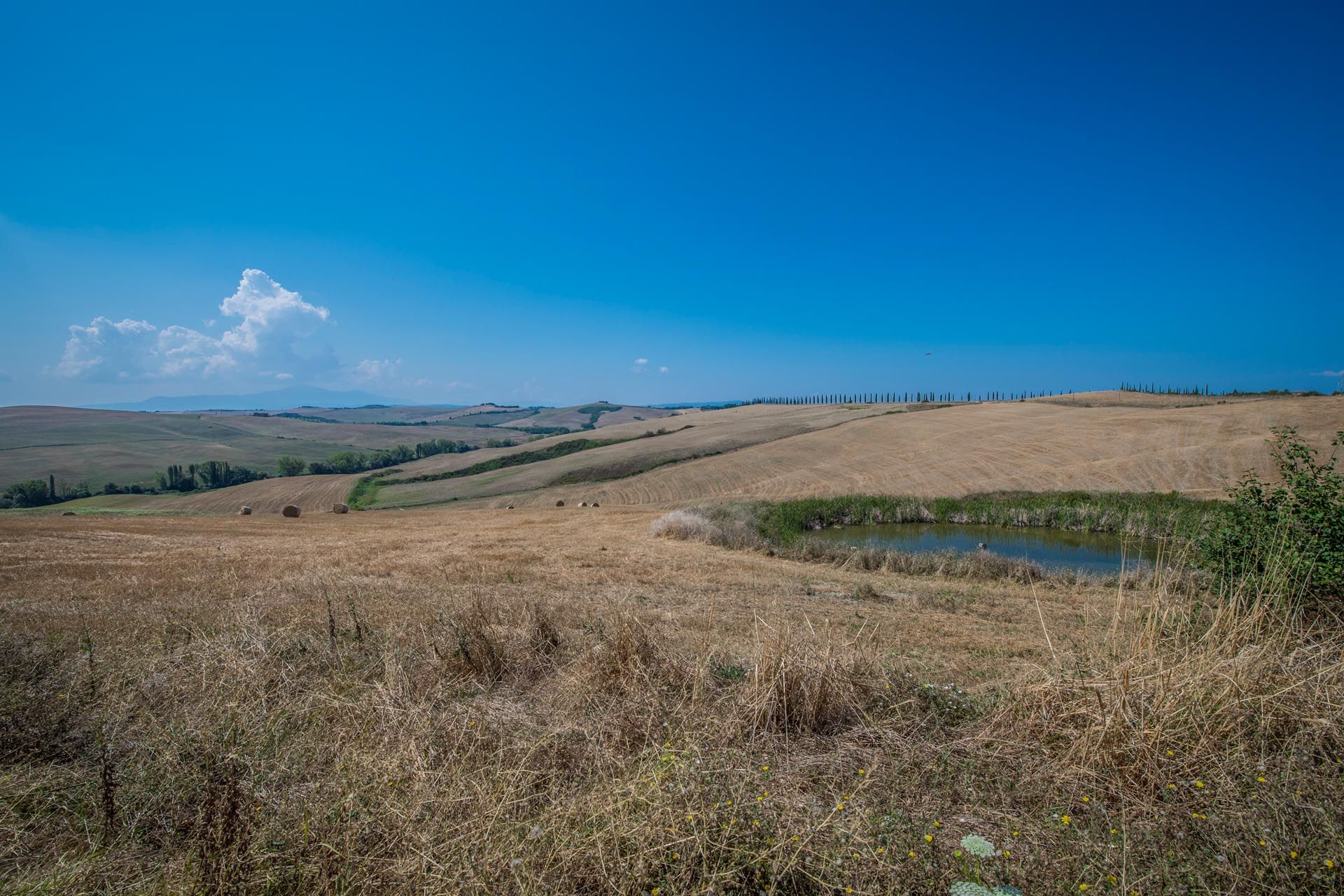 Hus i Montalcino, Siena 10058605