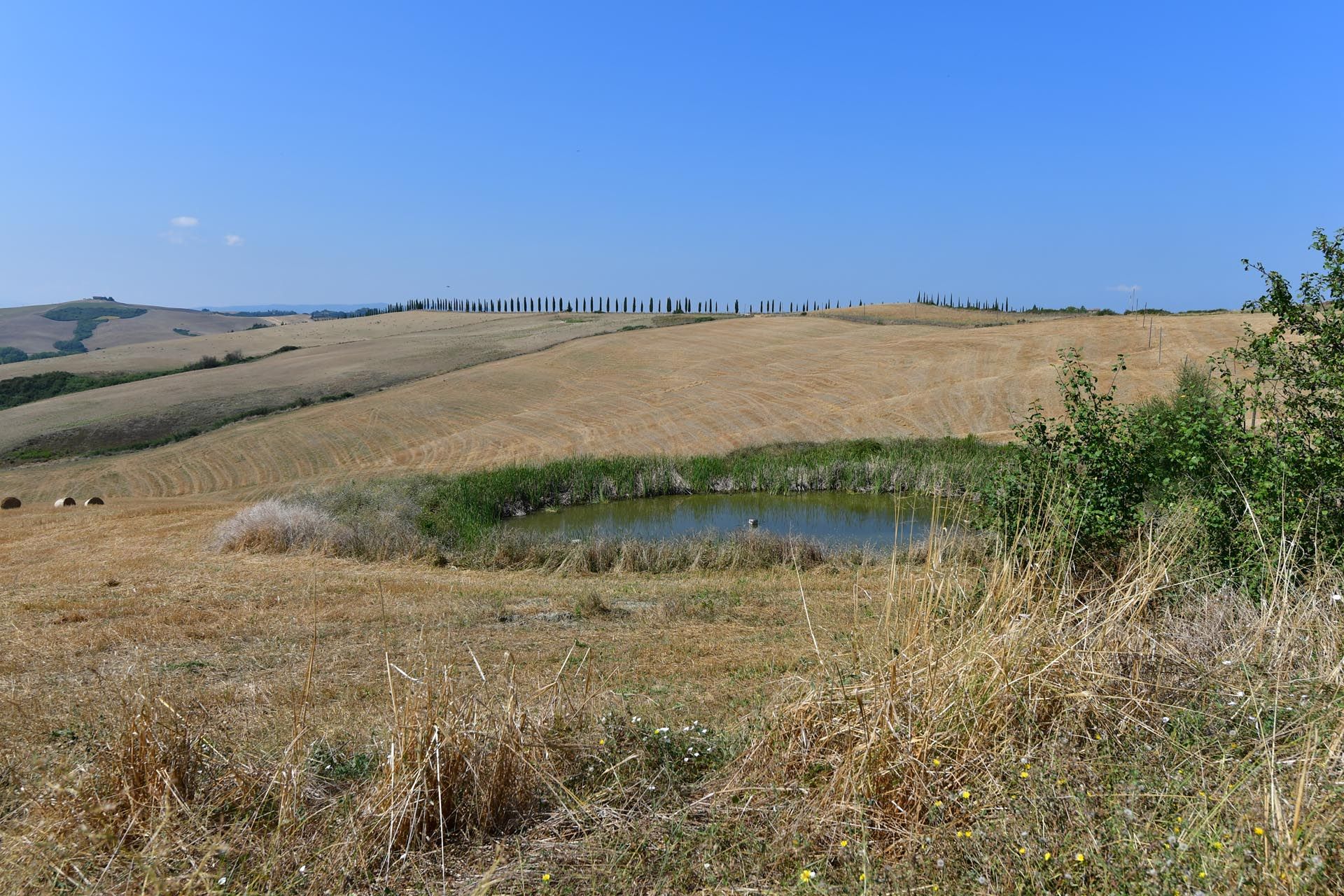 Hus i Montalcino, Siena 10058605